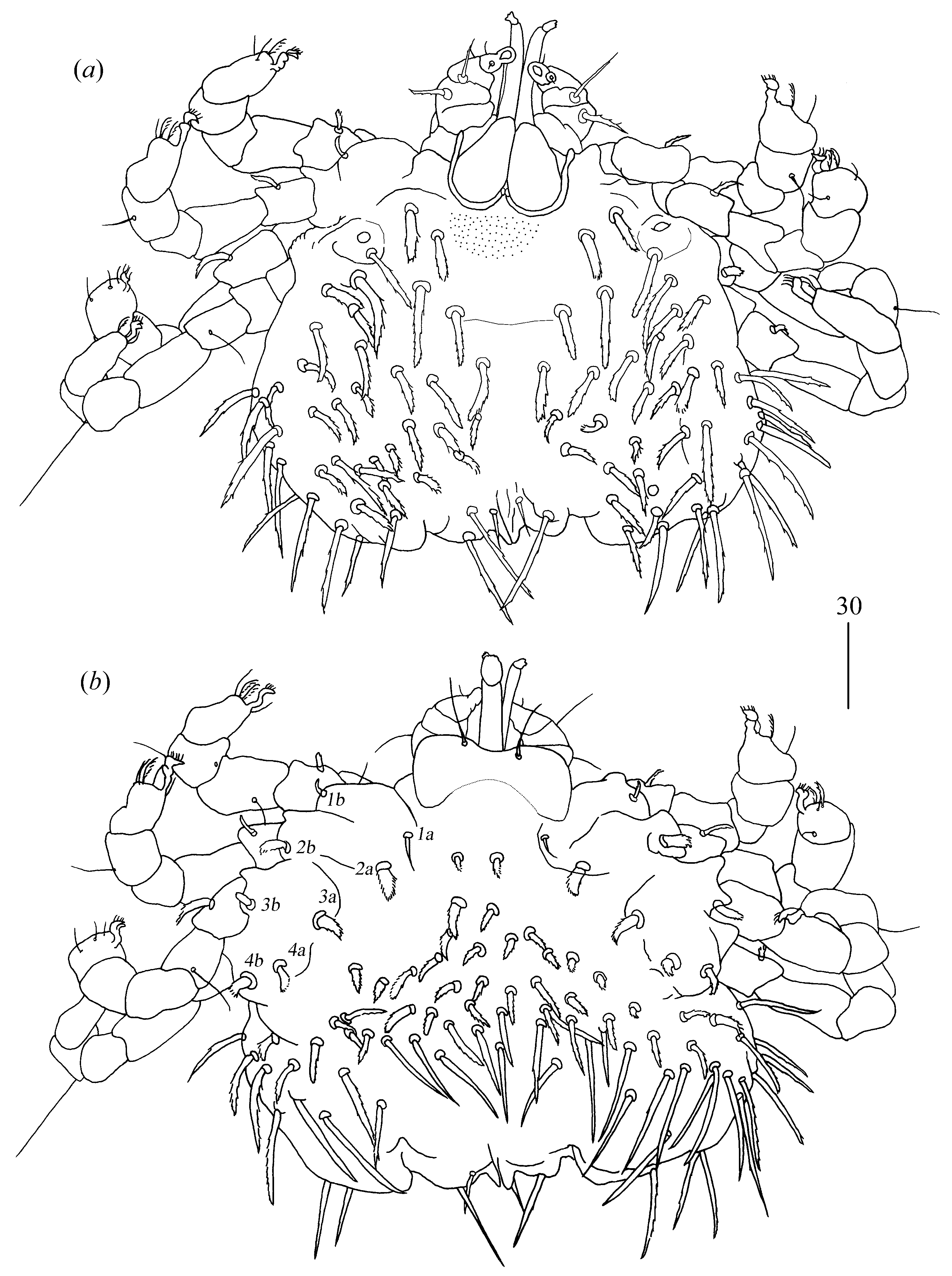 Diversity 14 01064 g019