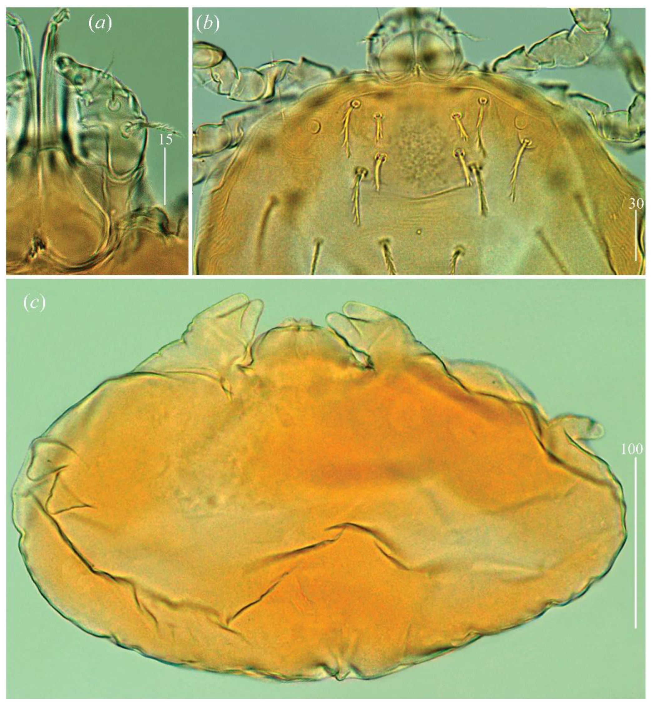Diversity 14 01064 g020