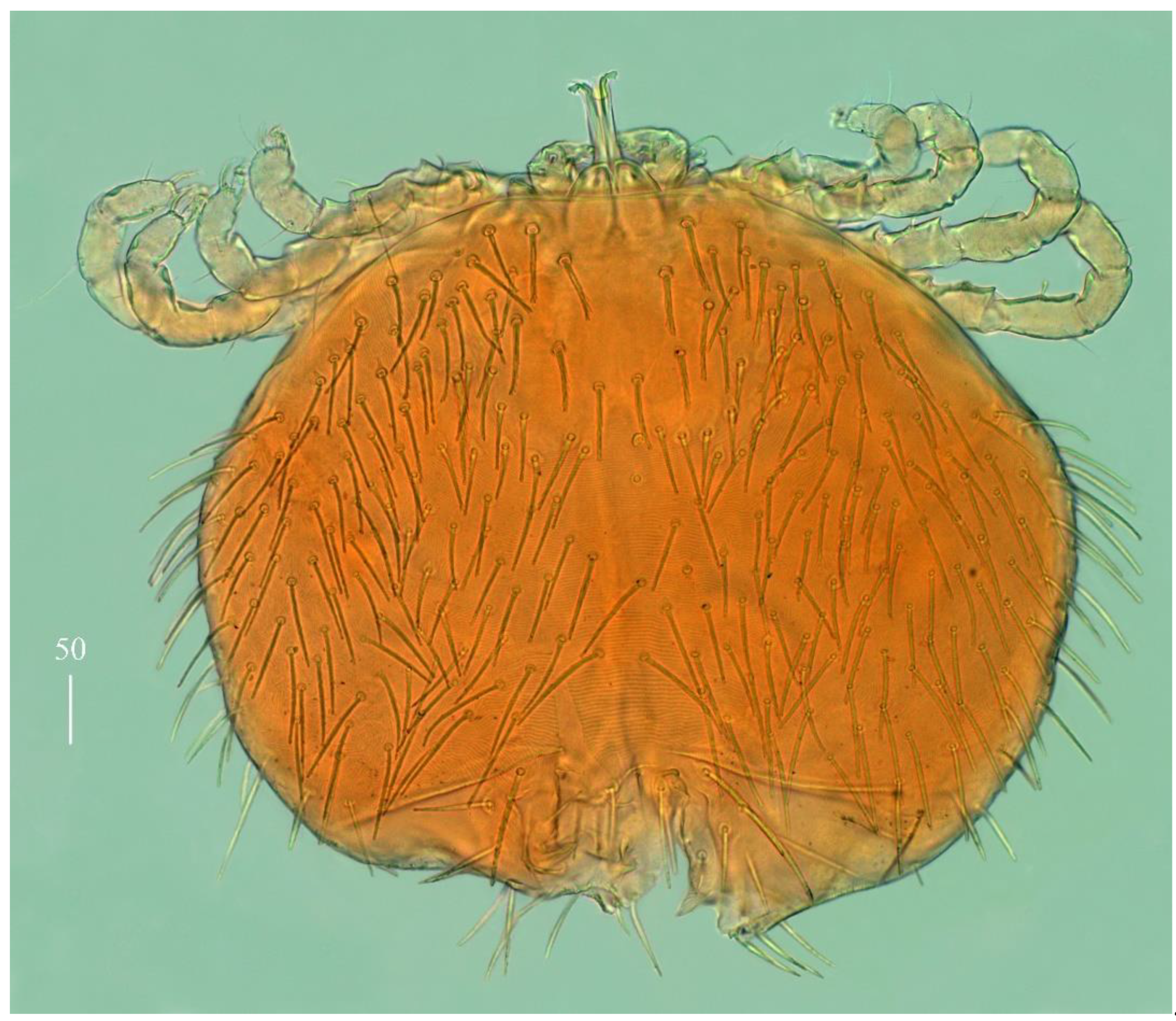 Diversity 14 01064 g021