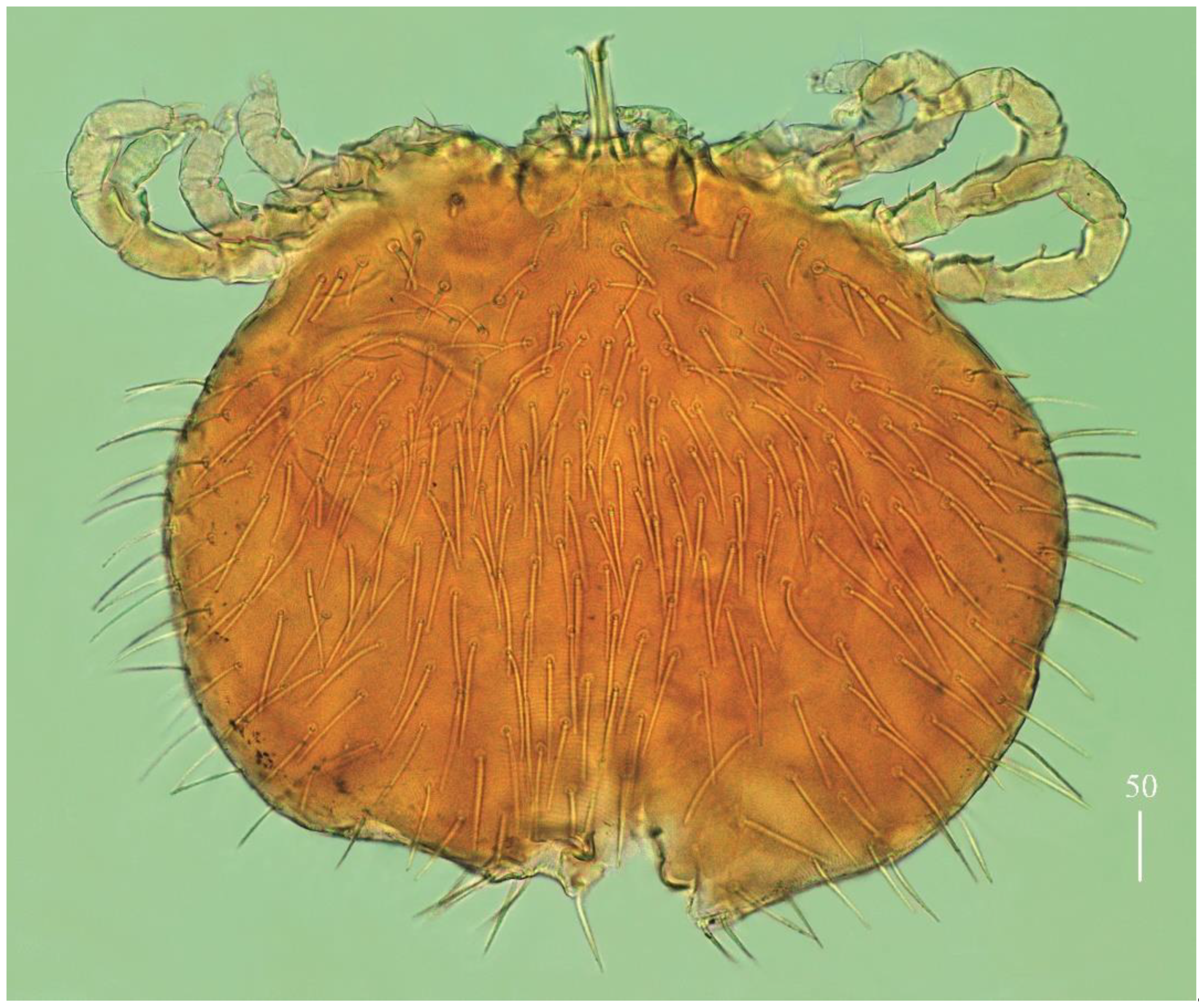 Diversity 14 01064 g022