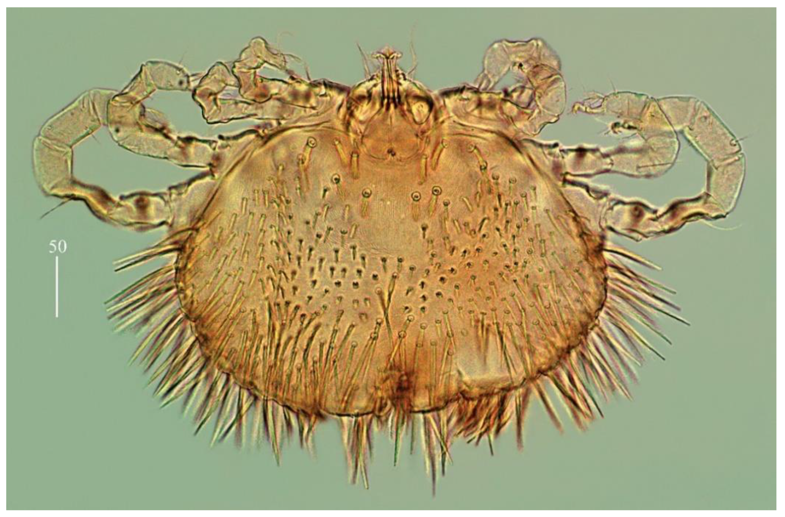 Diversity 14 01064 g023