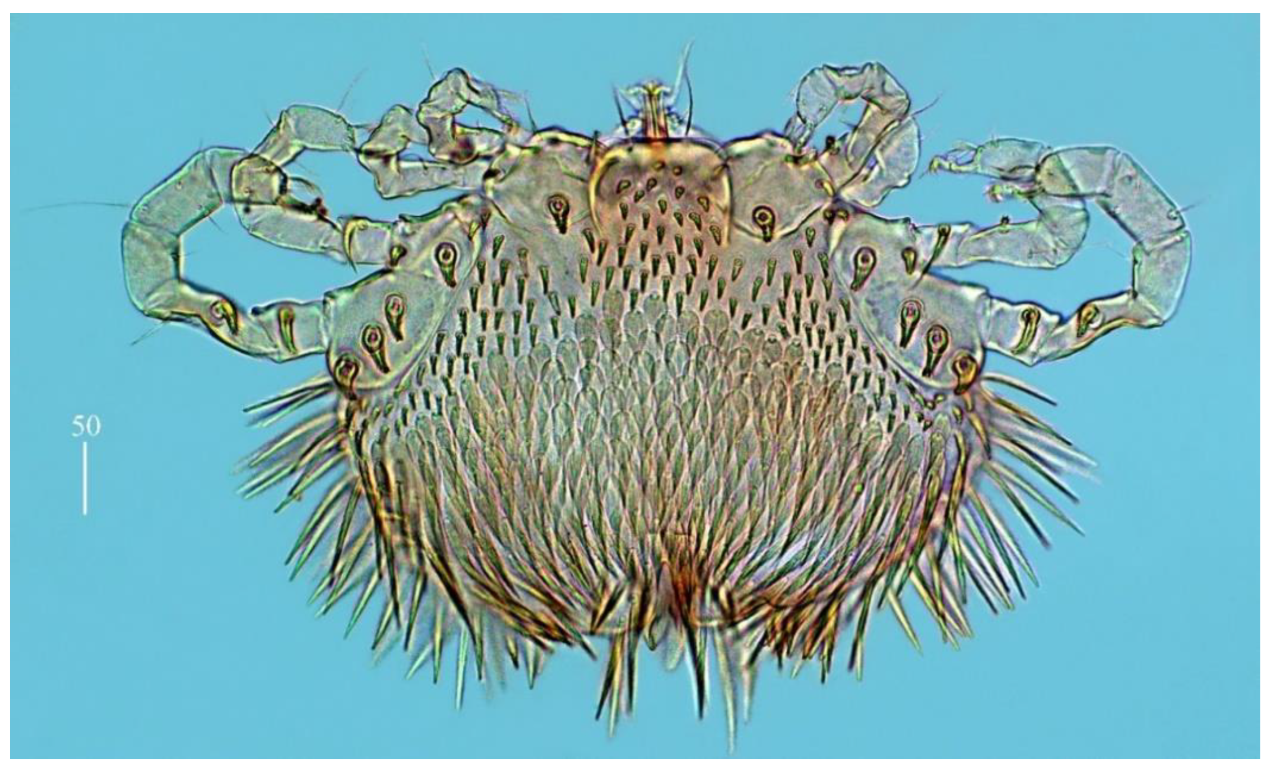 Diversity 14 01064 g024