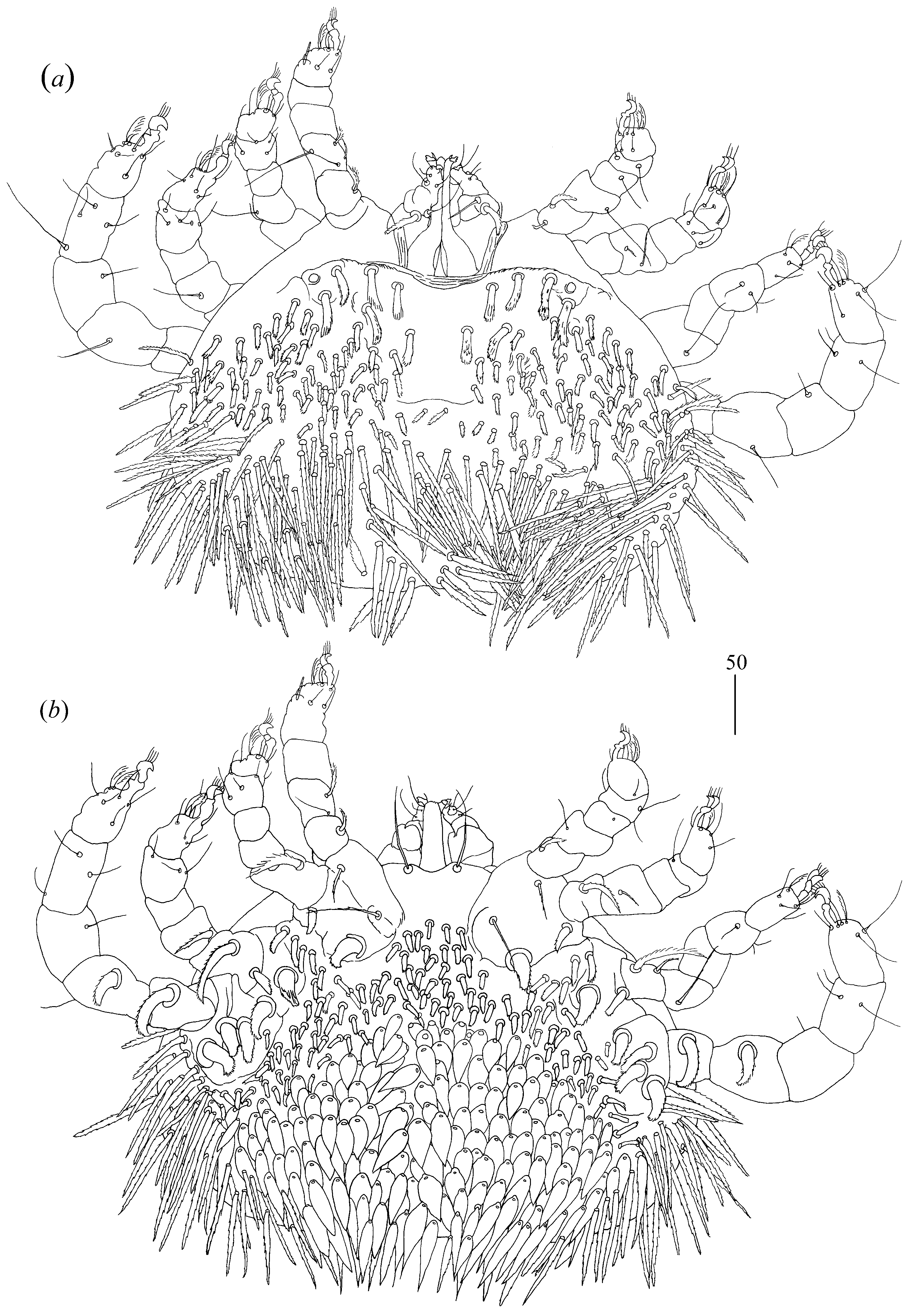 Diversity 14 01064 g026