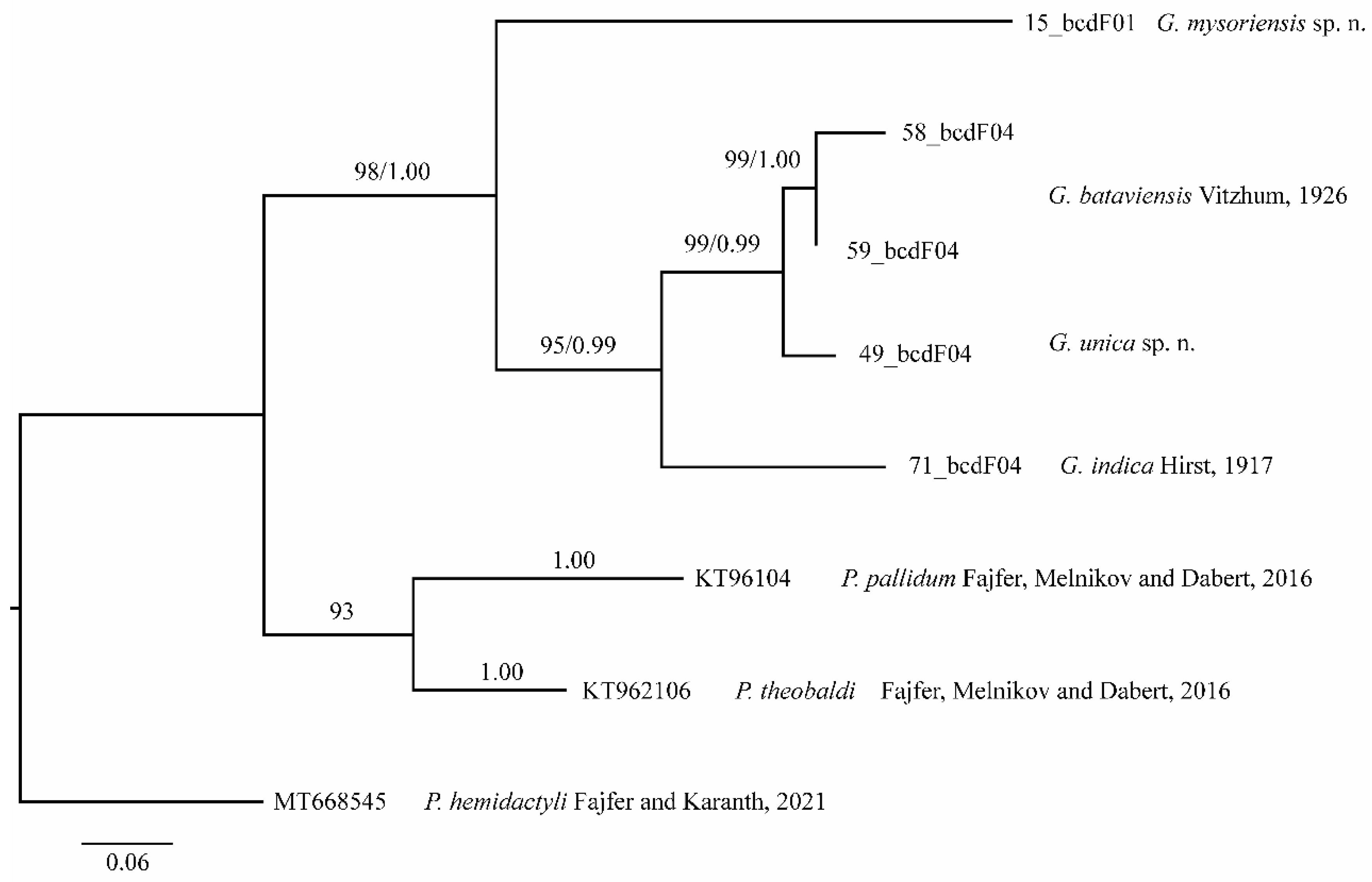 Diversity 14 01064 g030