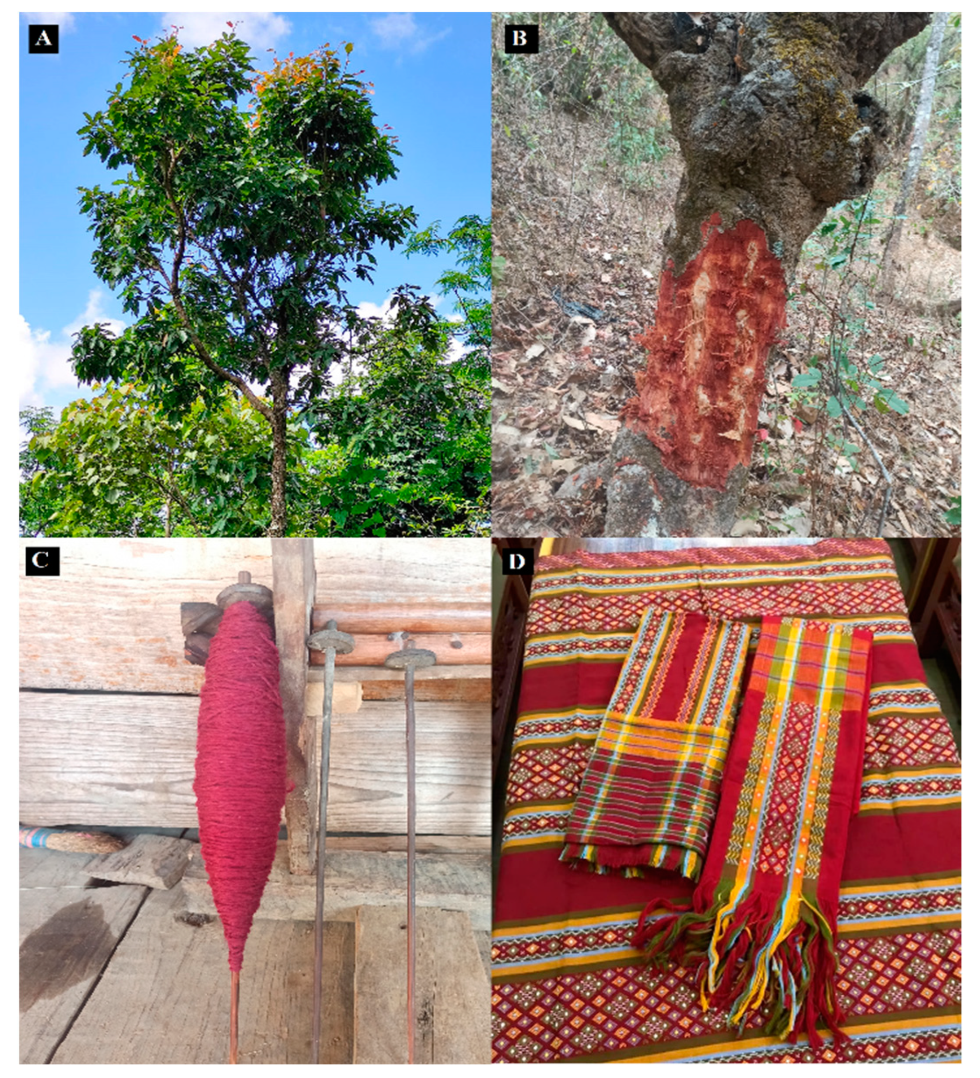 Diversity 14 01065 g002 Diversity 14 01065 g002