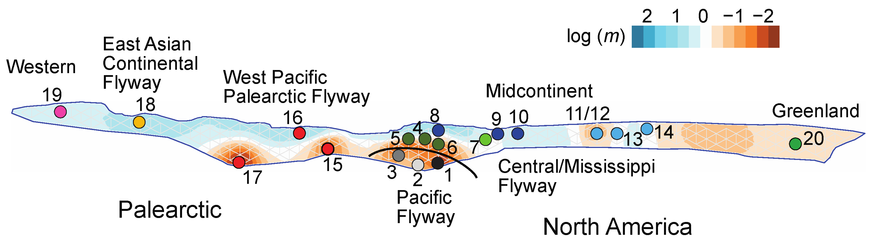 Diversity 14 01067 g004 Diversity 14 01067 g004