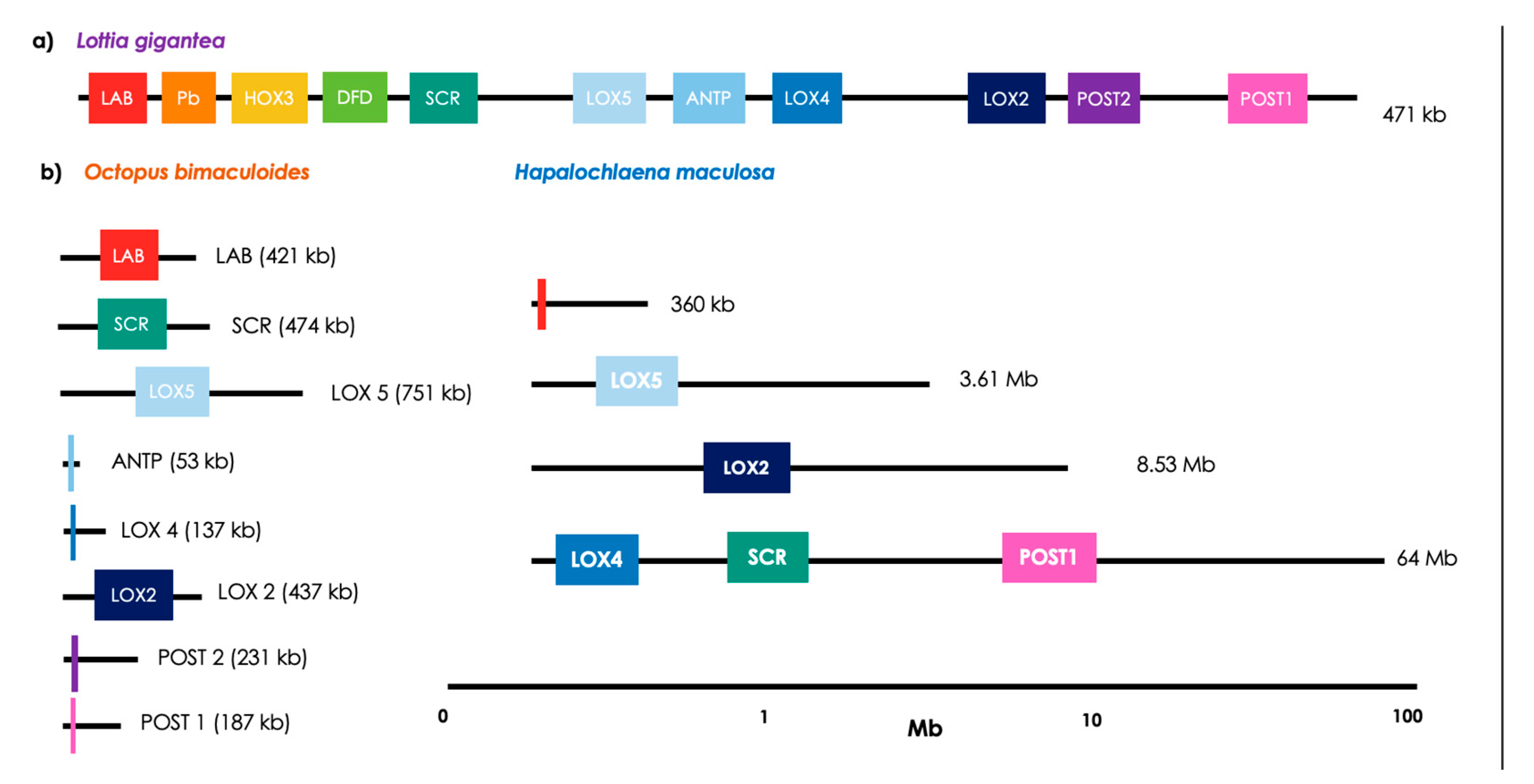 Diversity 14 01068 g002