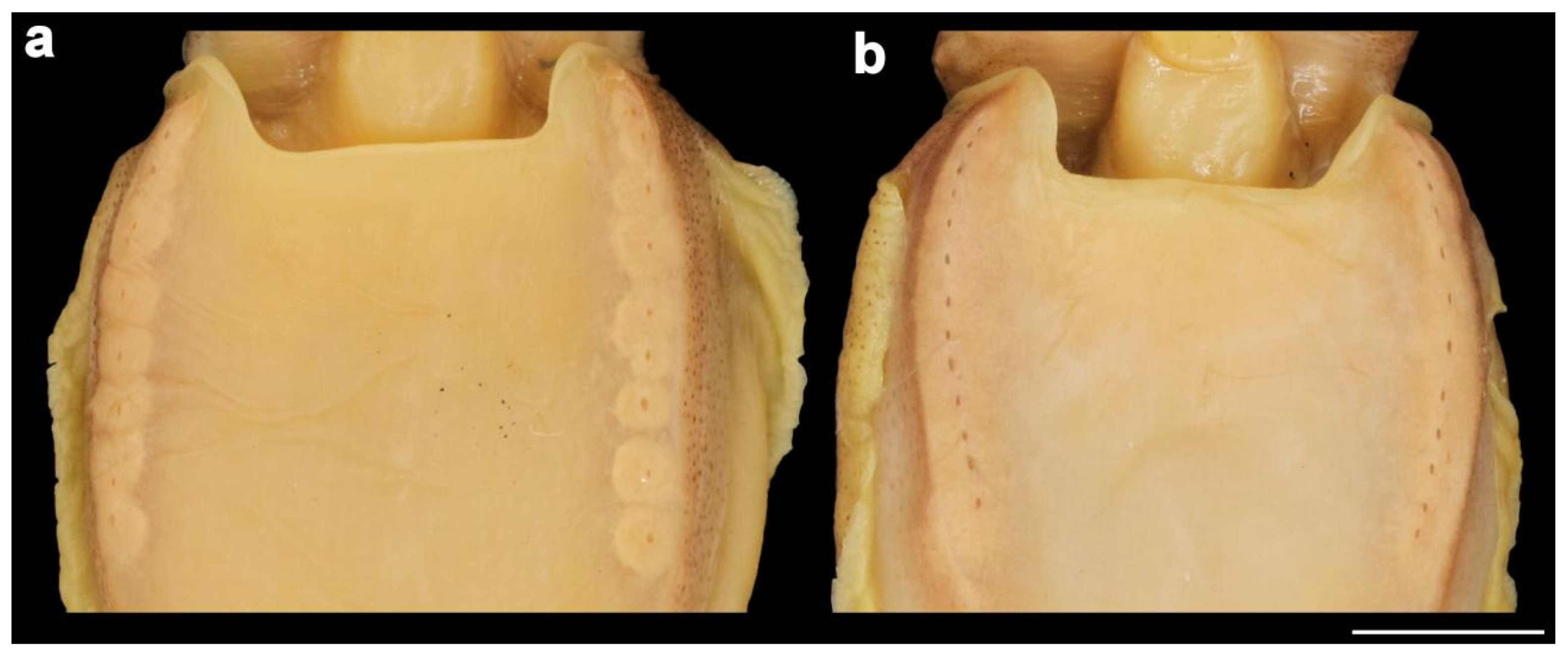 Diversity 14 01073 g007 Diversity 14 01073 g007