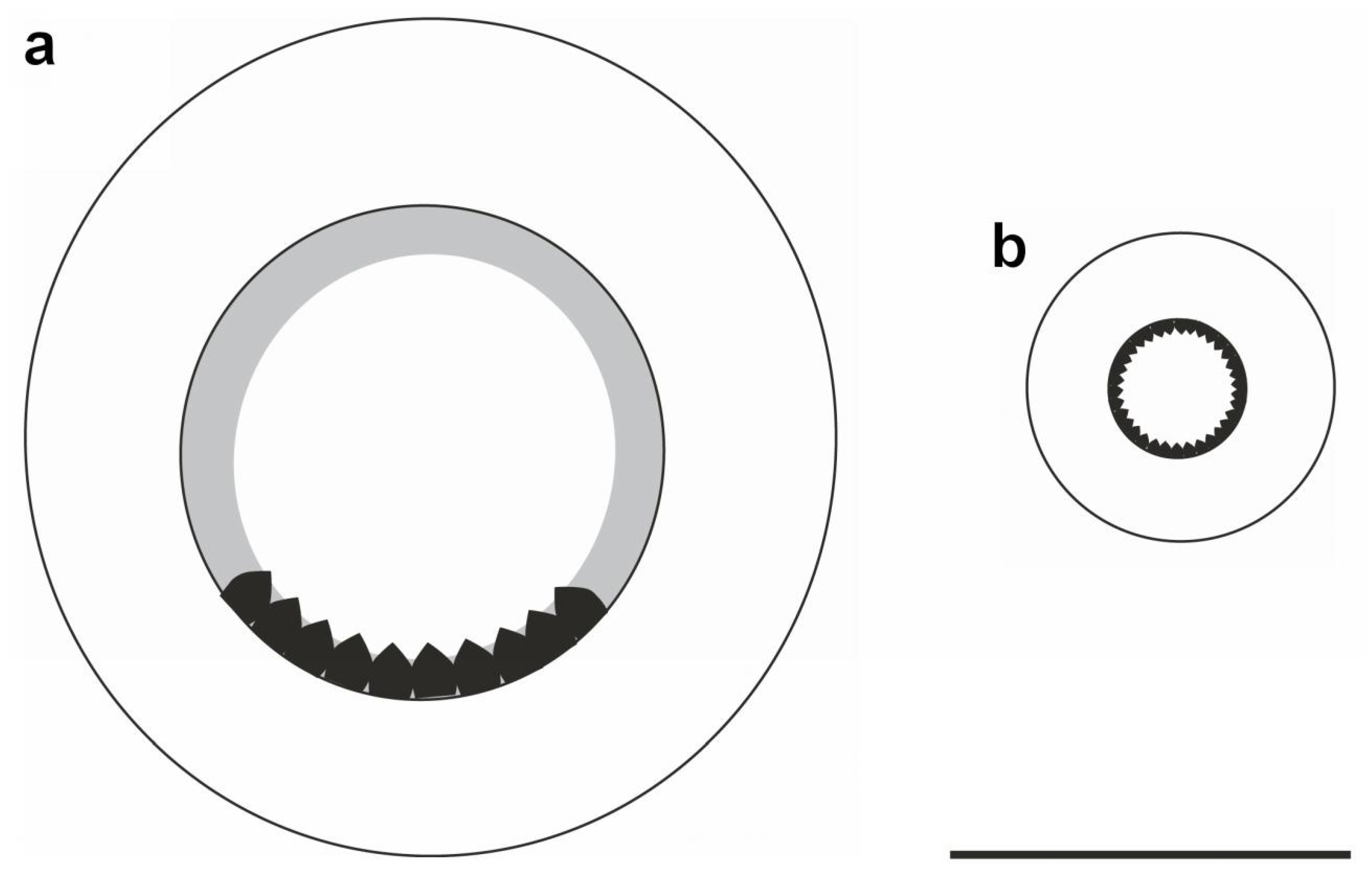 Diversity 14 01073 g014 Diversity 14 01073 g014