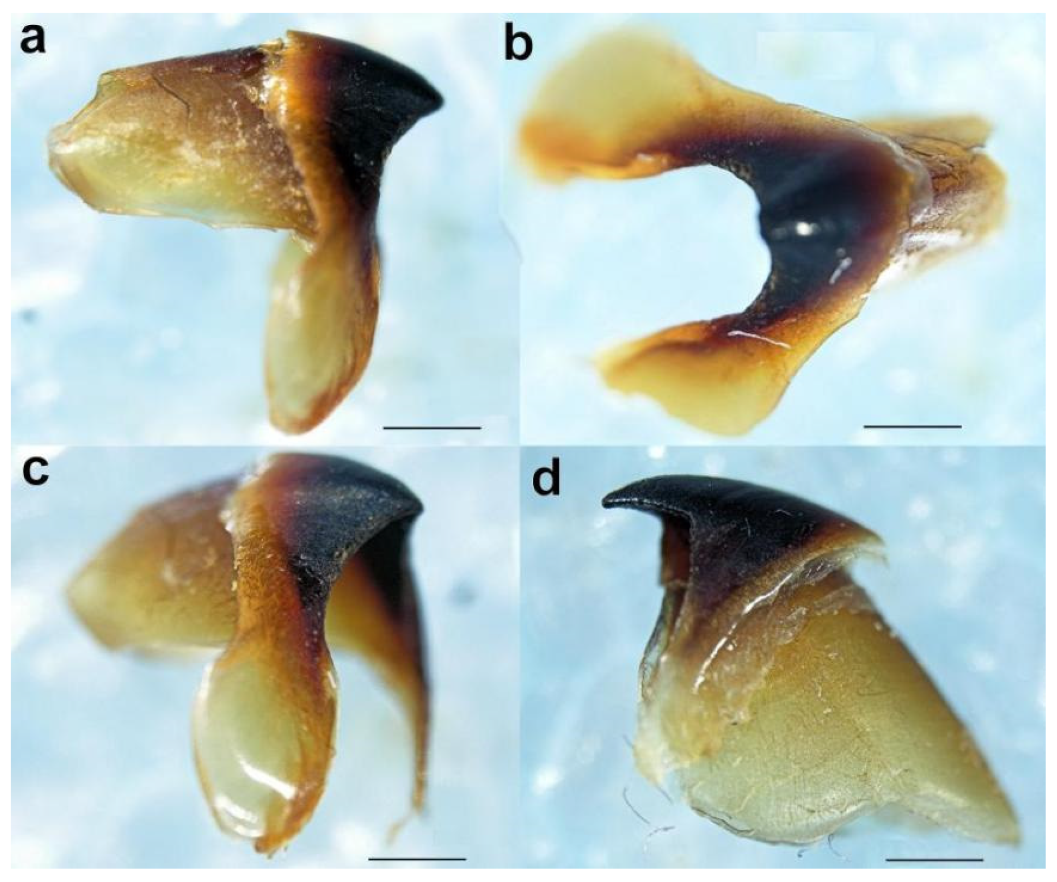 Diversity 14 01073 g018 Diversity 14 01073 g018