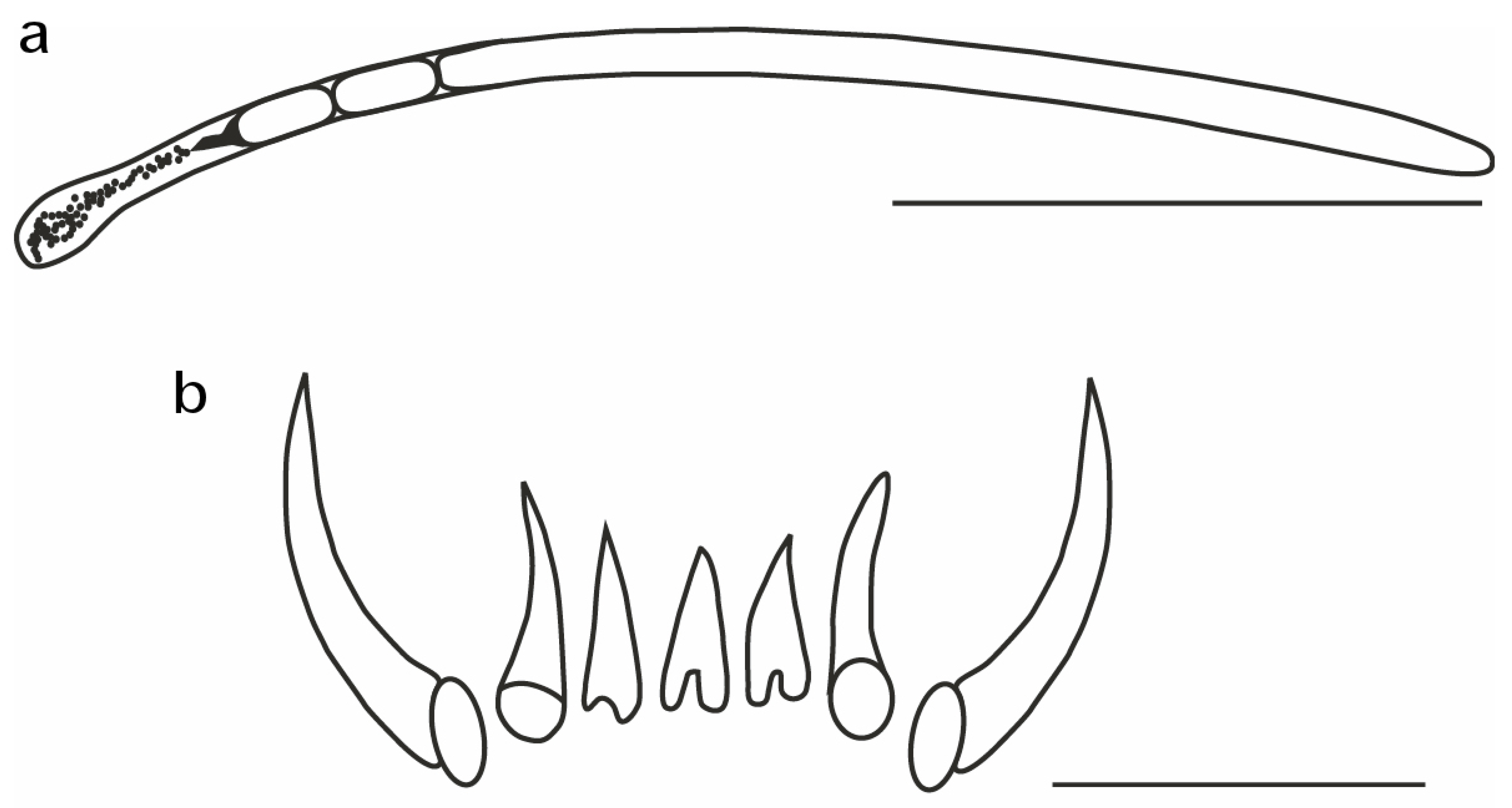 Diversity 14 01073 g019 Diversity 14 01073 g019