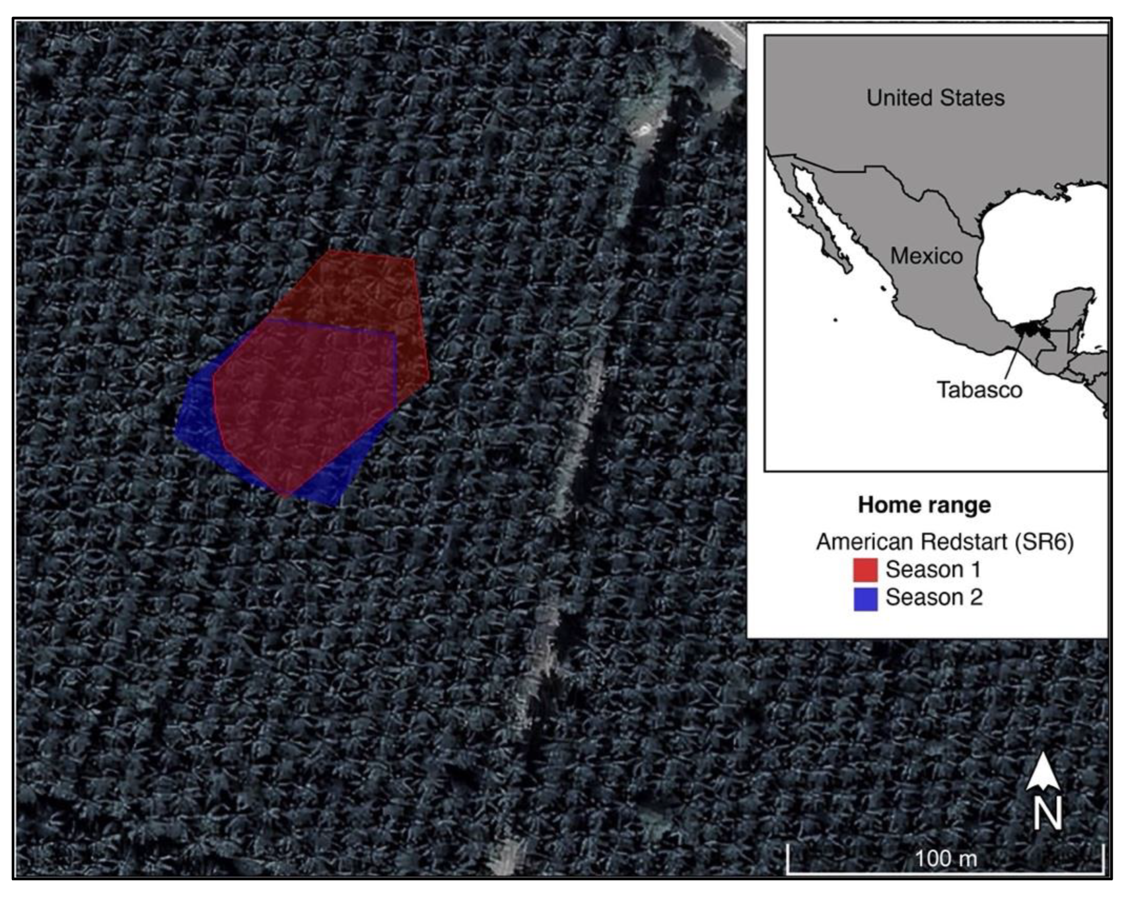 Diversity 14 01079 g003 Diversity 14 01079 g003