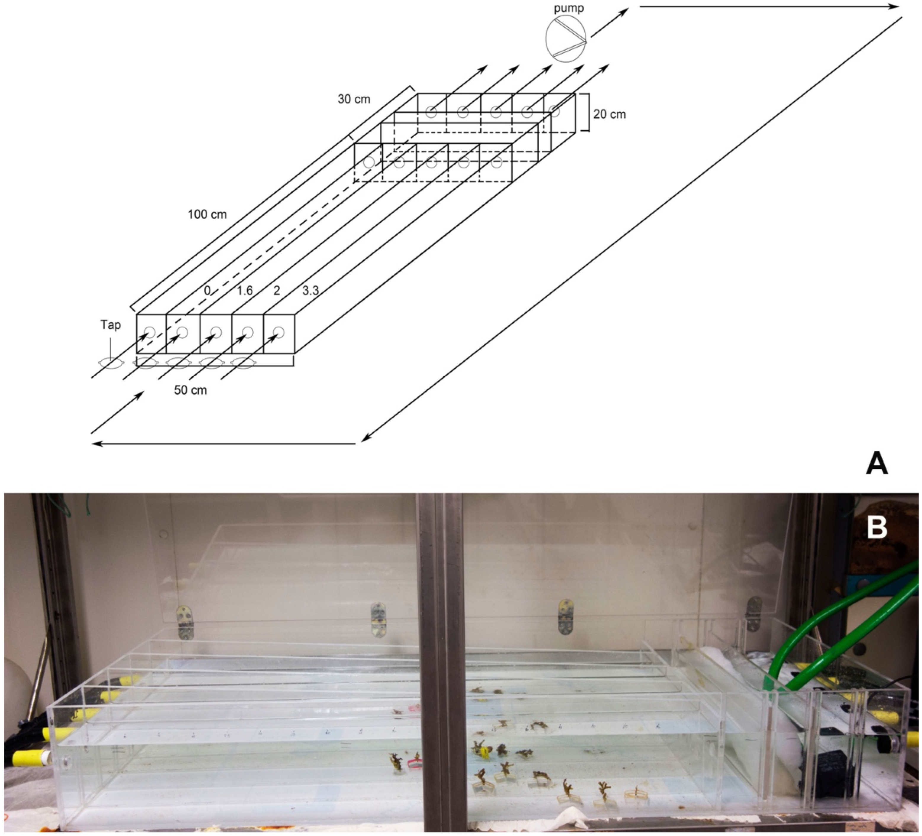 Diversity 14 01080 g003