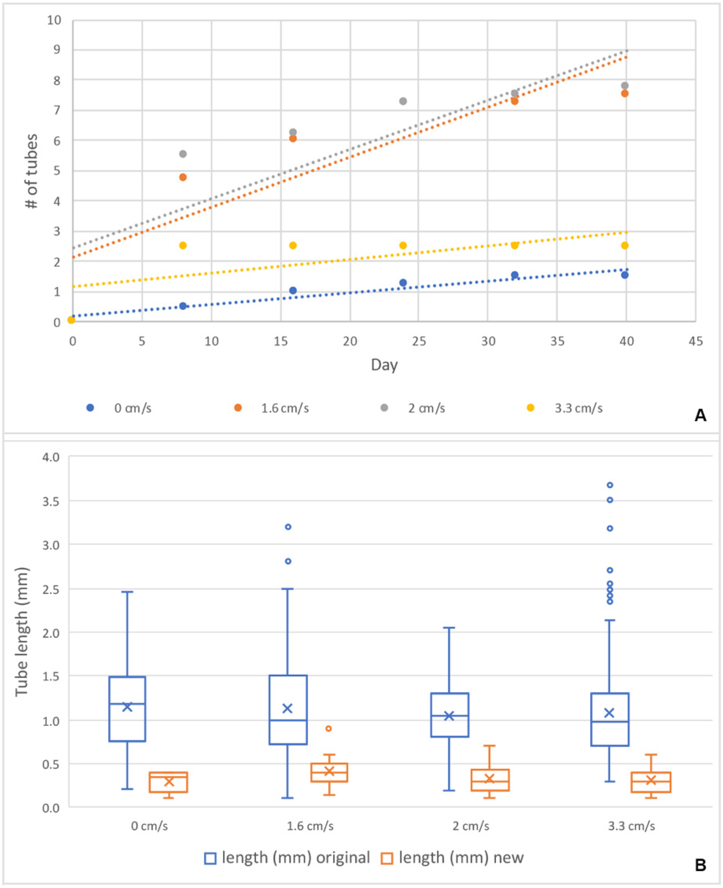 Diversity 14 01080 g011