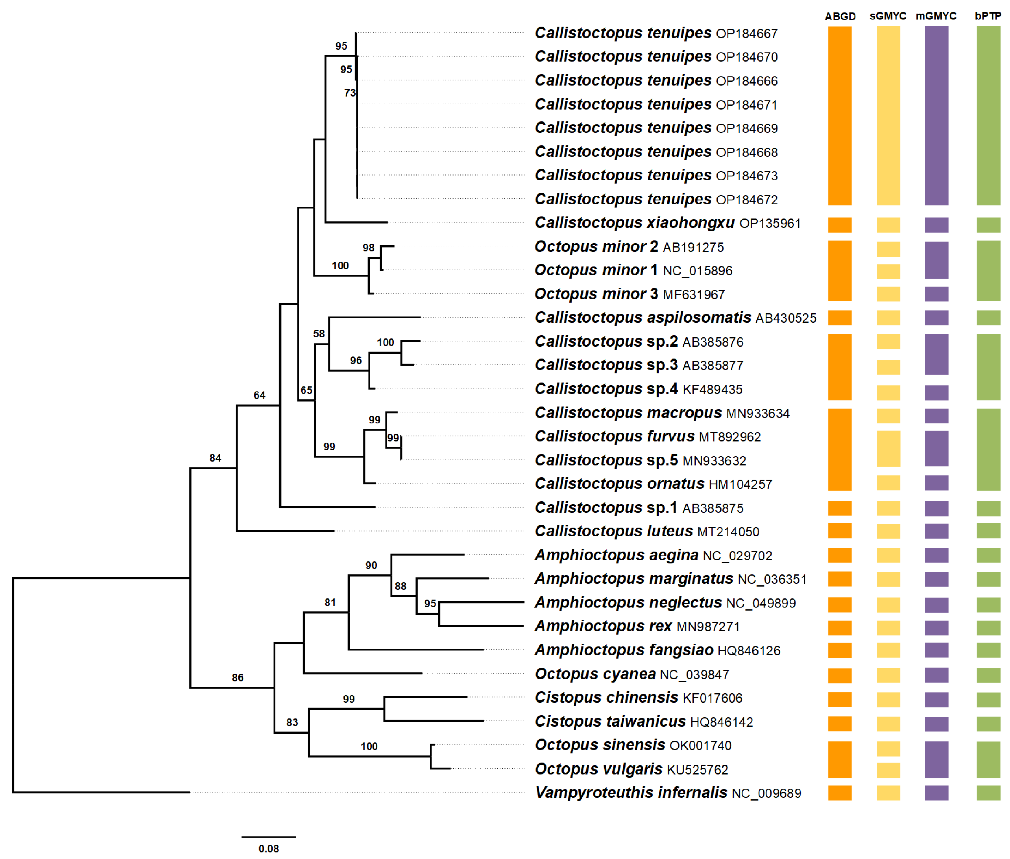 Diversity Free FullText Morphological Description and