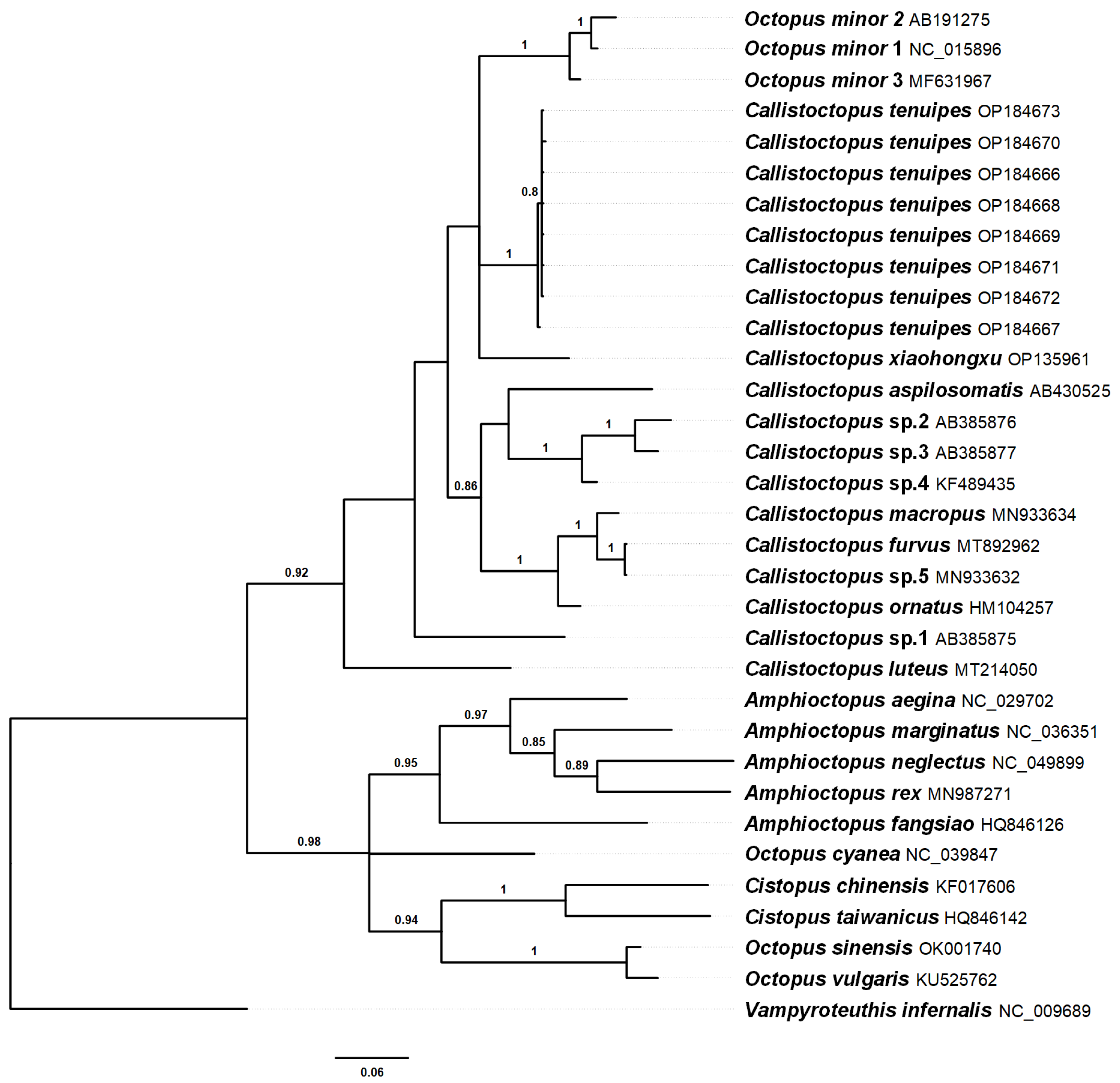 Diversity 14 01083 g002 Diversity 14 01083 g002
