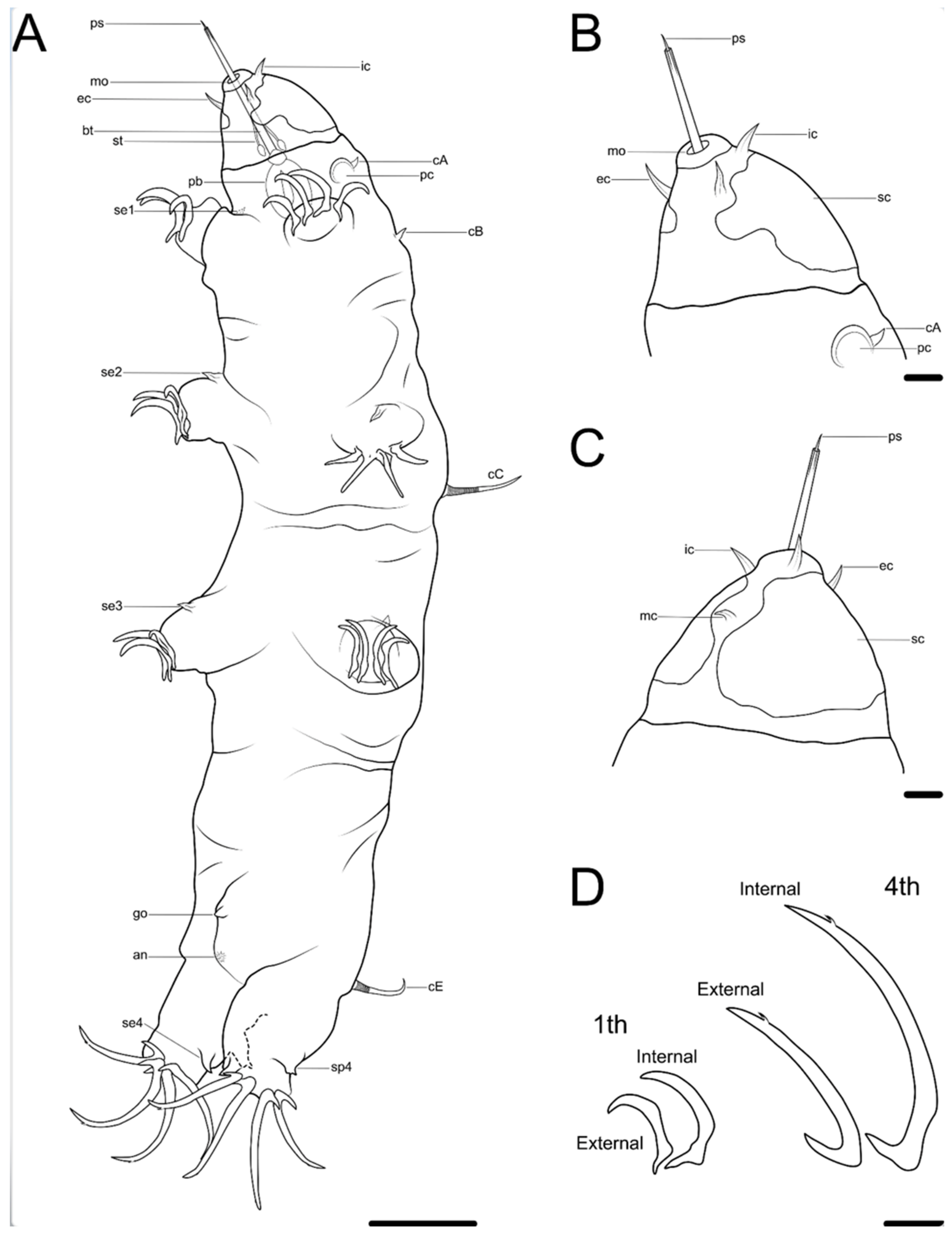 Diversity 14 01086 g002
