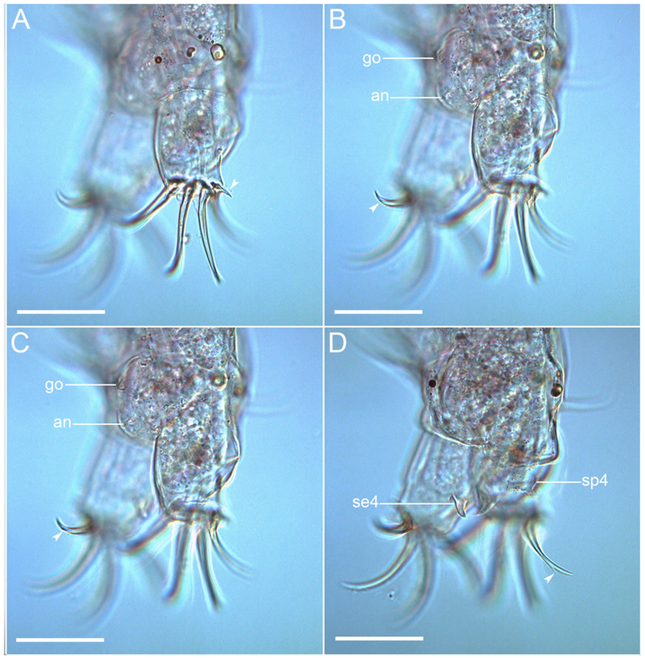 Diversity 14 01086 g008