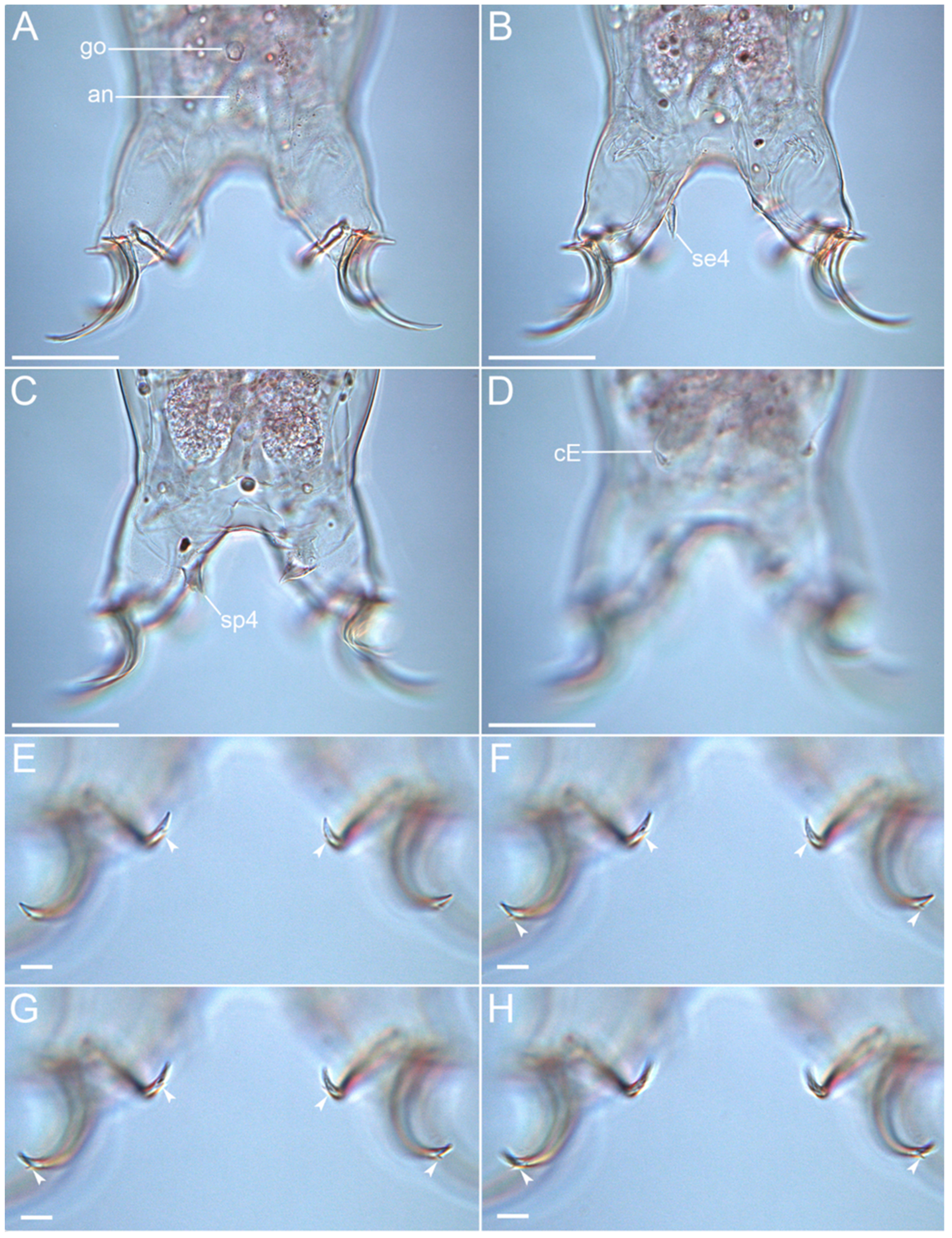 Diversity 14 01086 g010