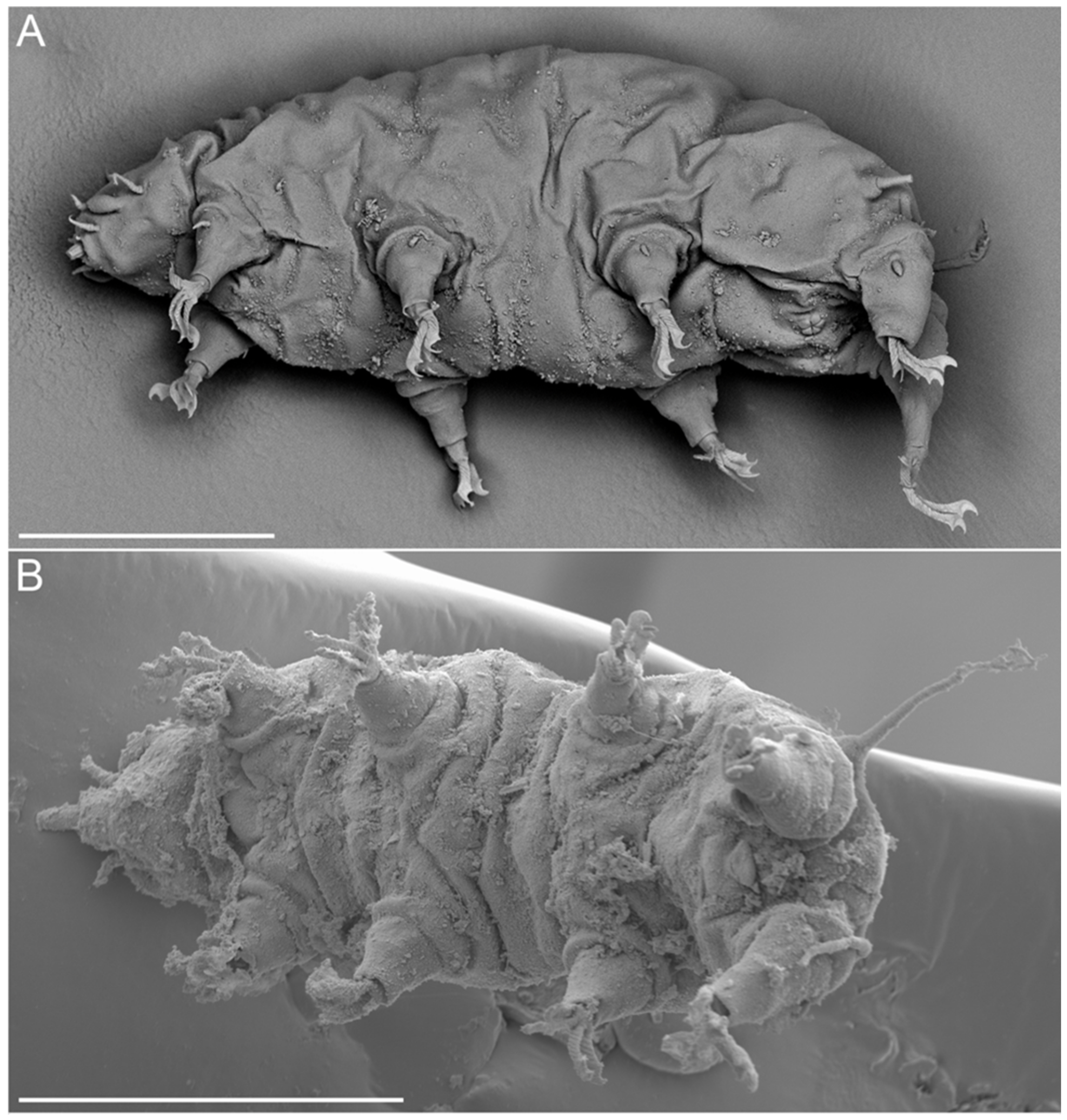 Diversity 14 01086 g013