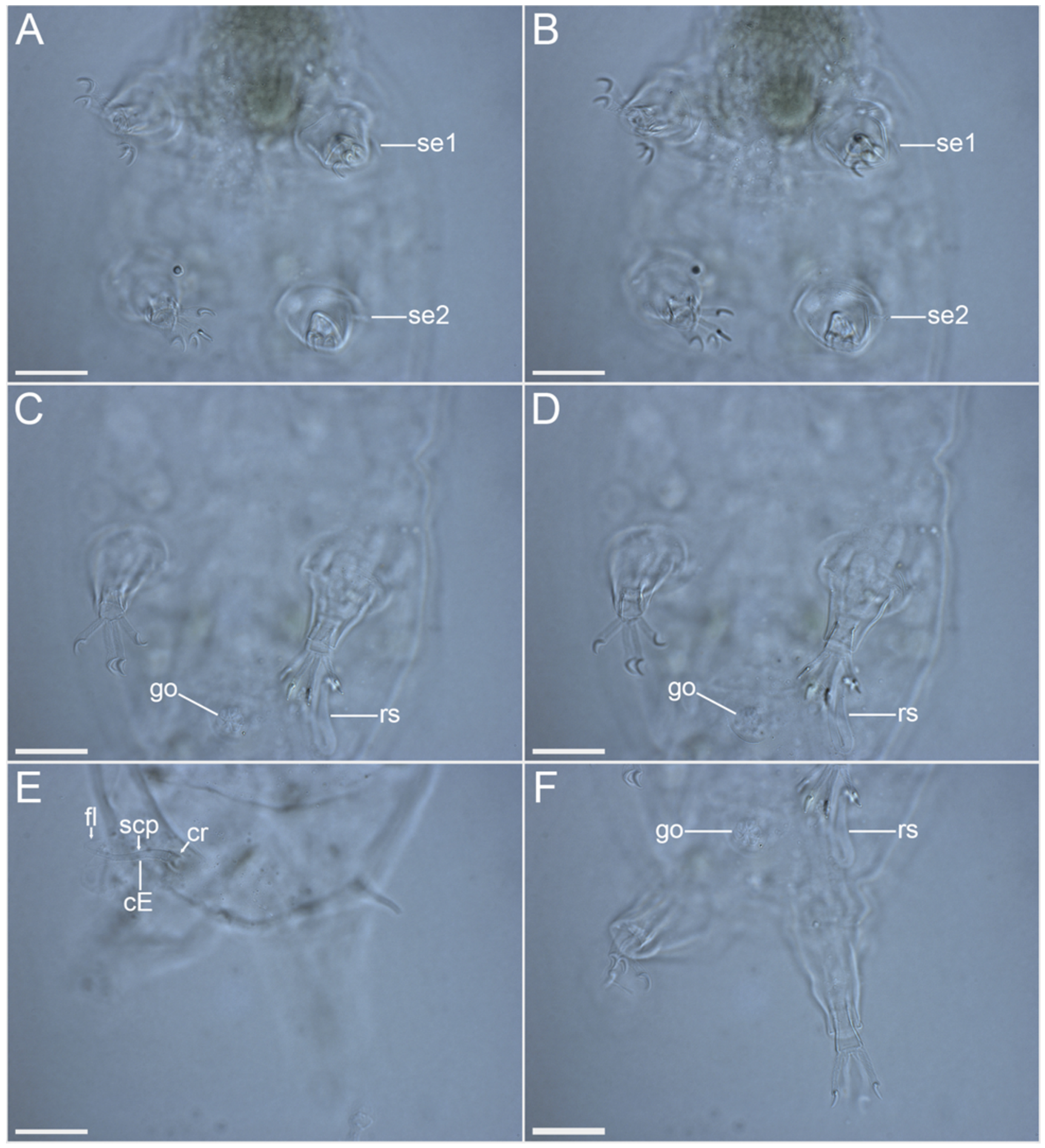 Diversity 14 01086 g015