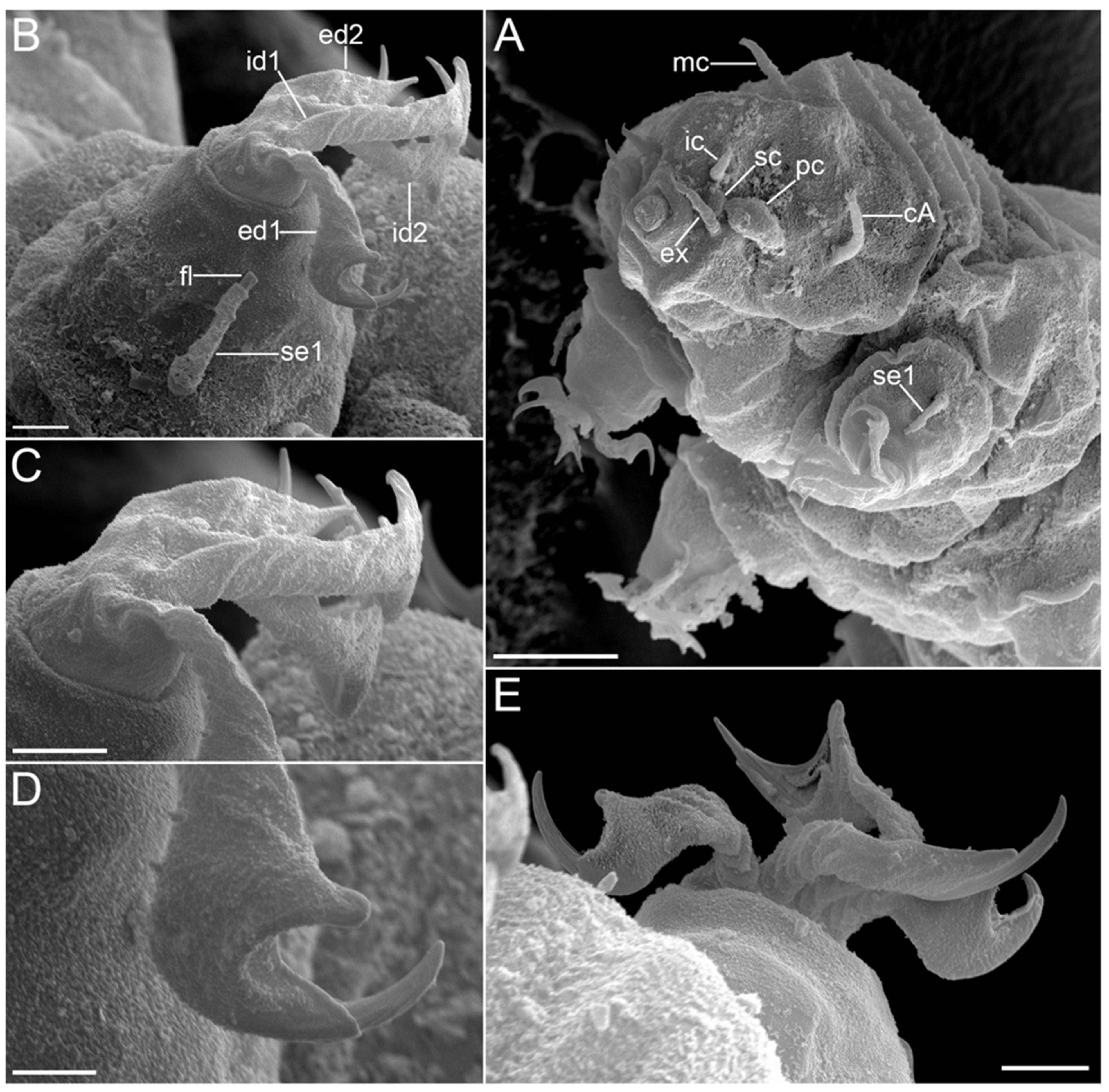 Diversity 14 01086 g016