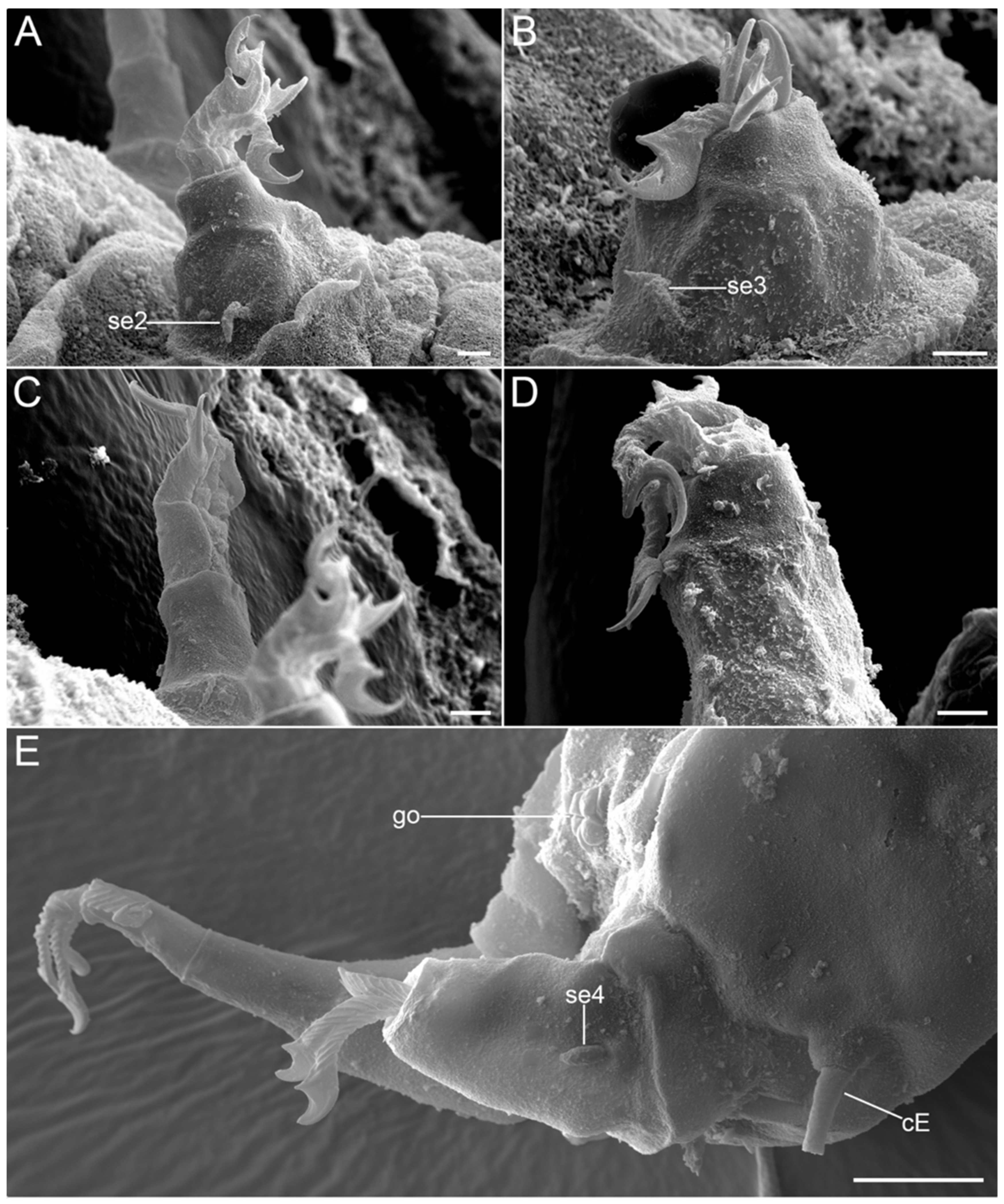 Diversity 14 01086 g017