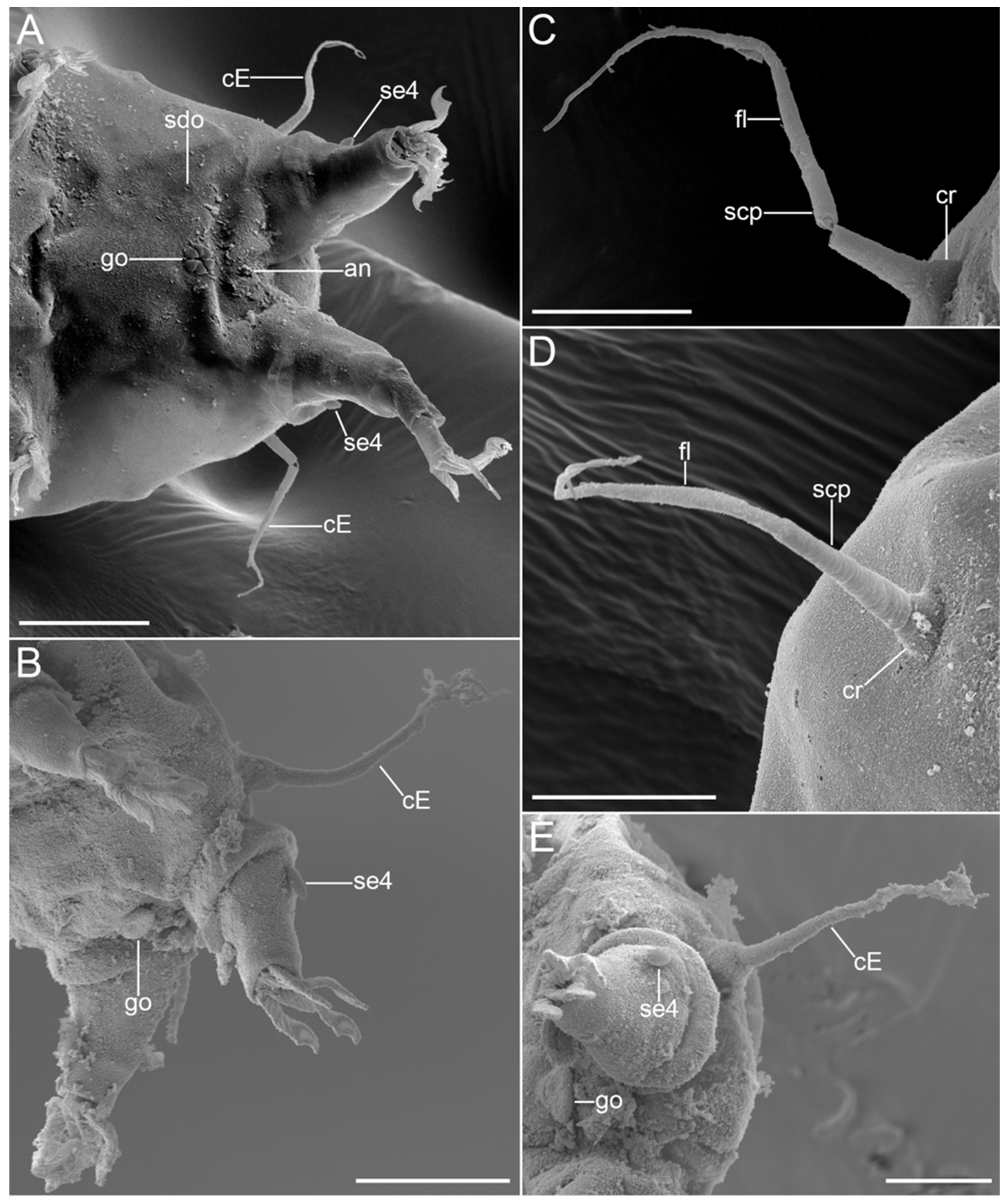 Diversity 14 01086 g018
