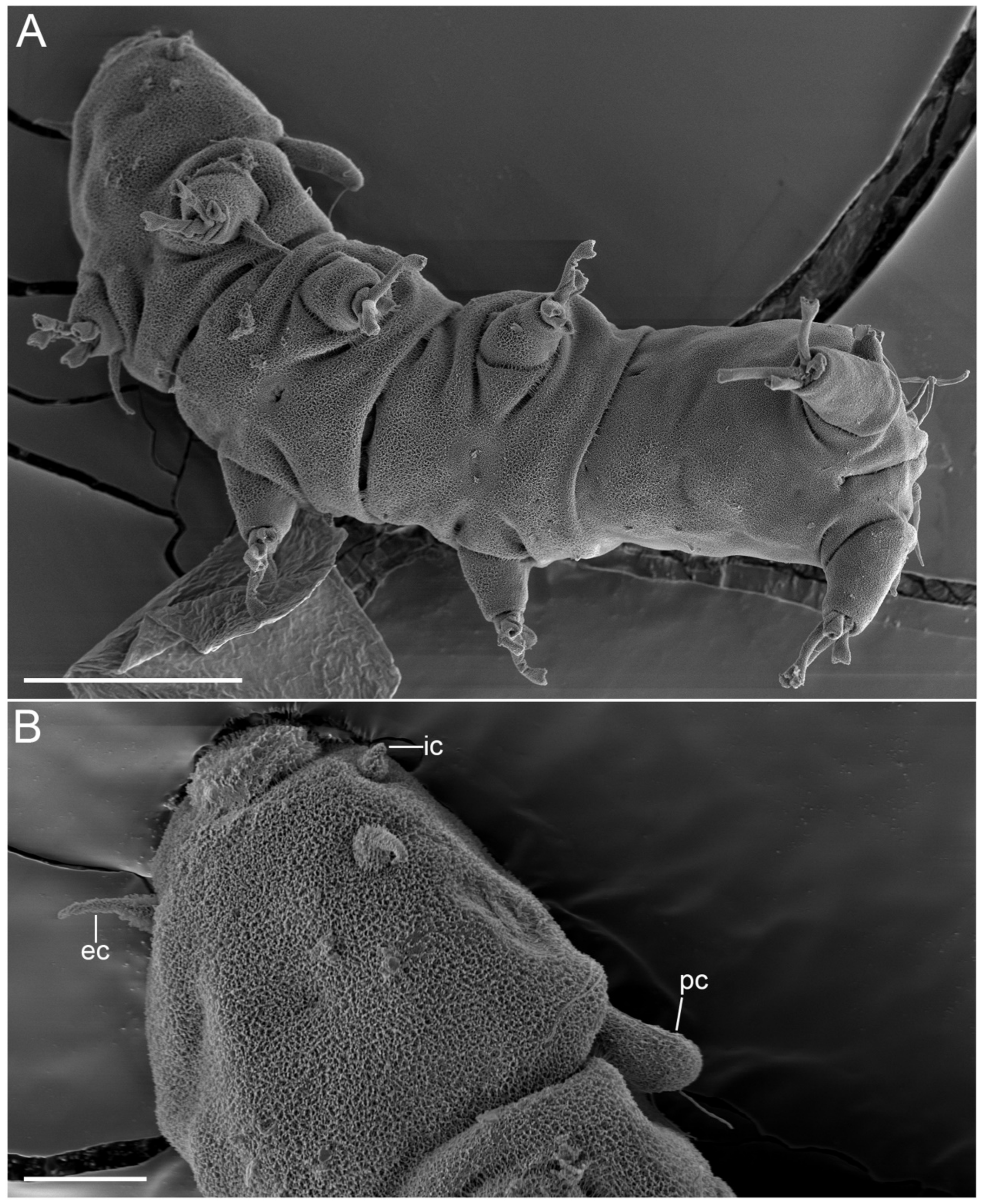 Diversity 14 01086 g024