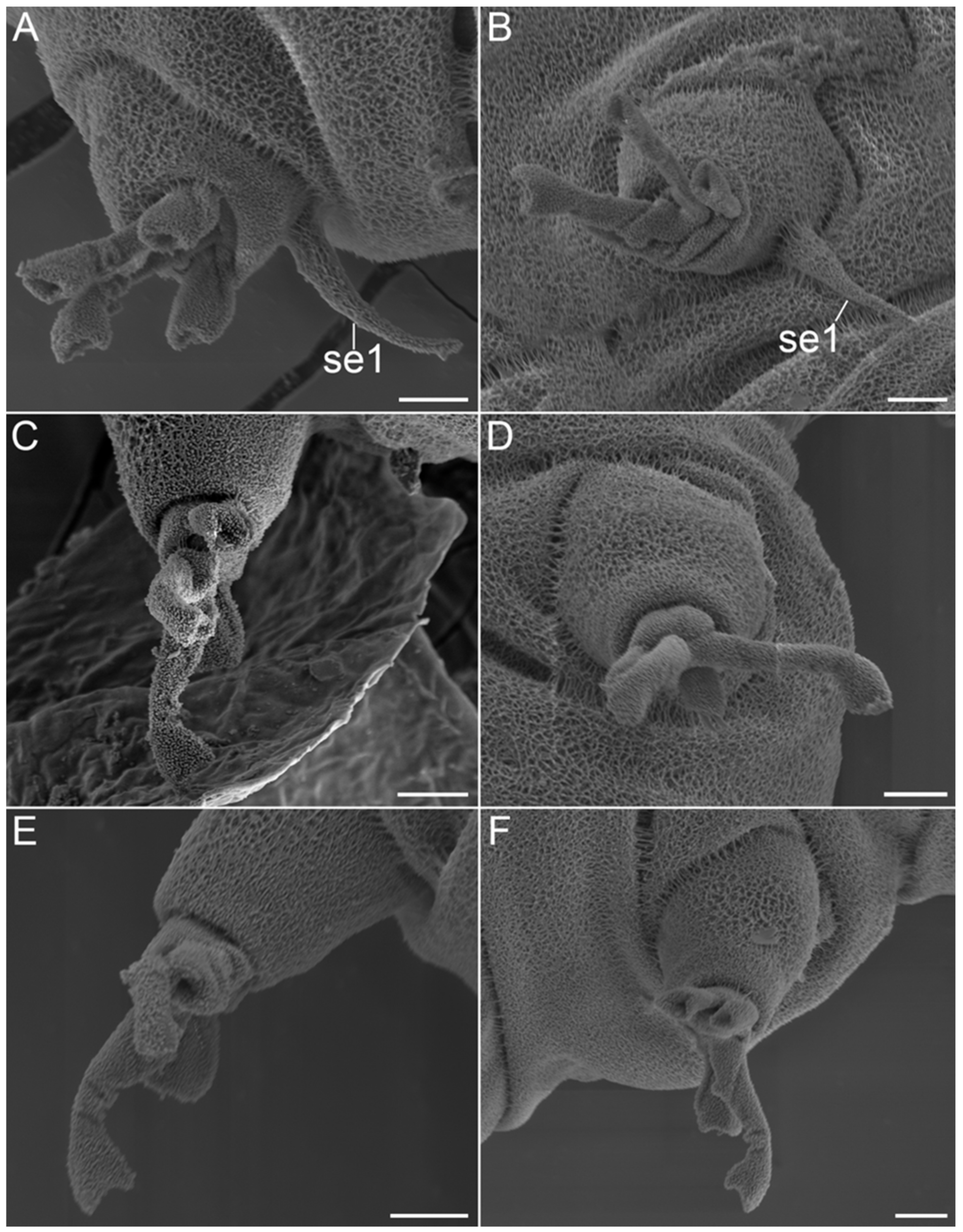 Diversity 14 01086 g027