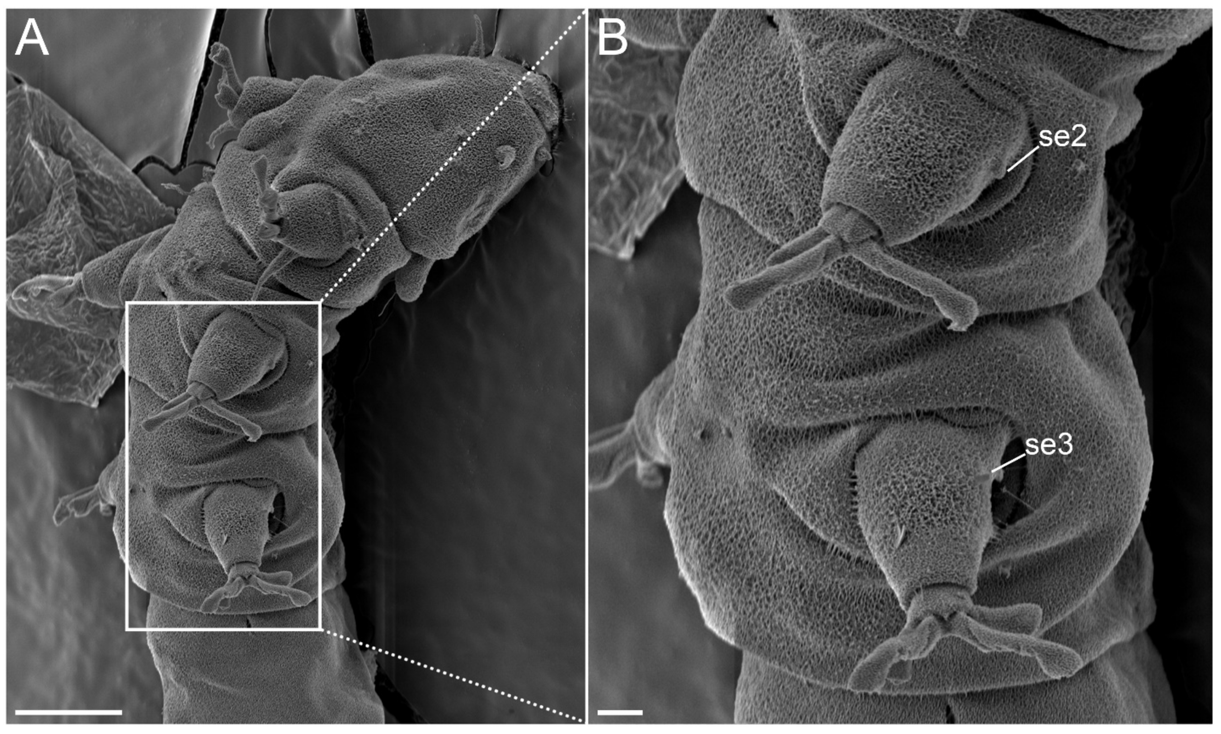 Diversity 14 01086 g028