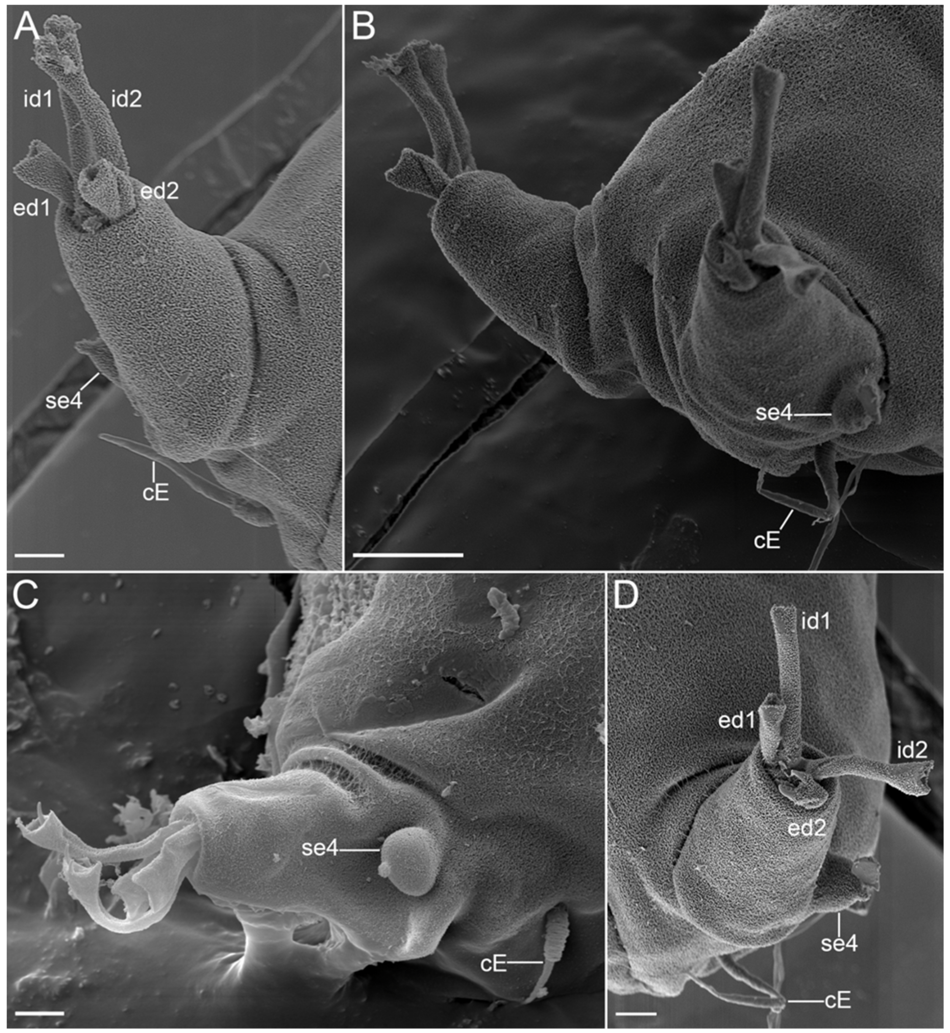 Diversity 14 01086 g029