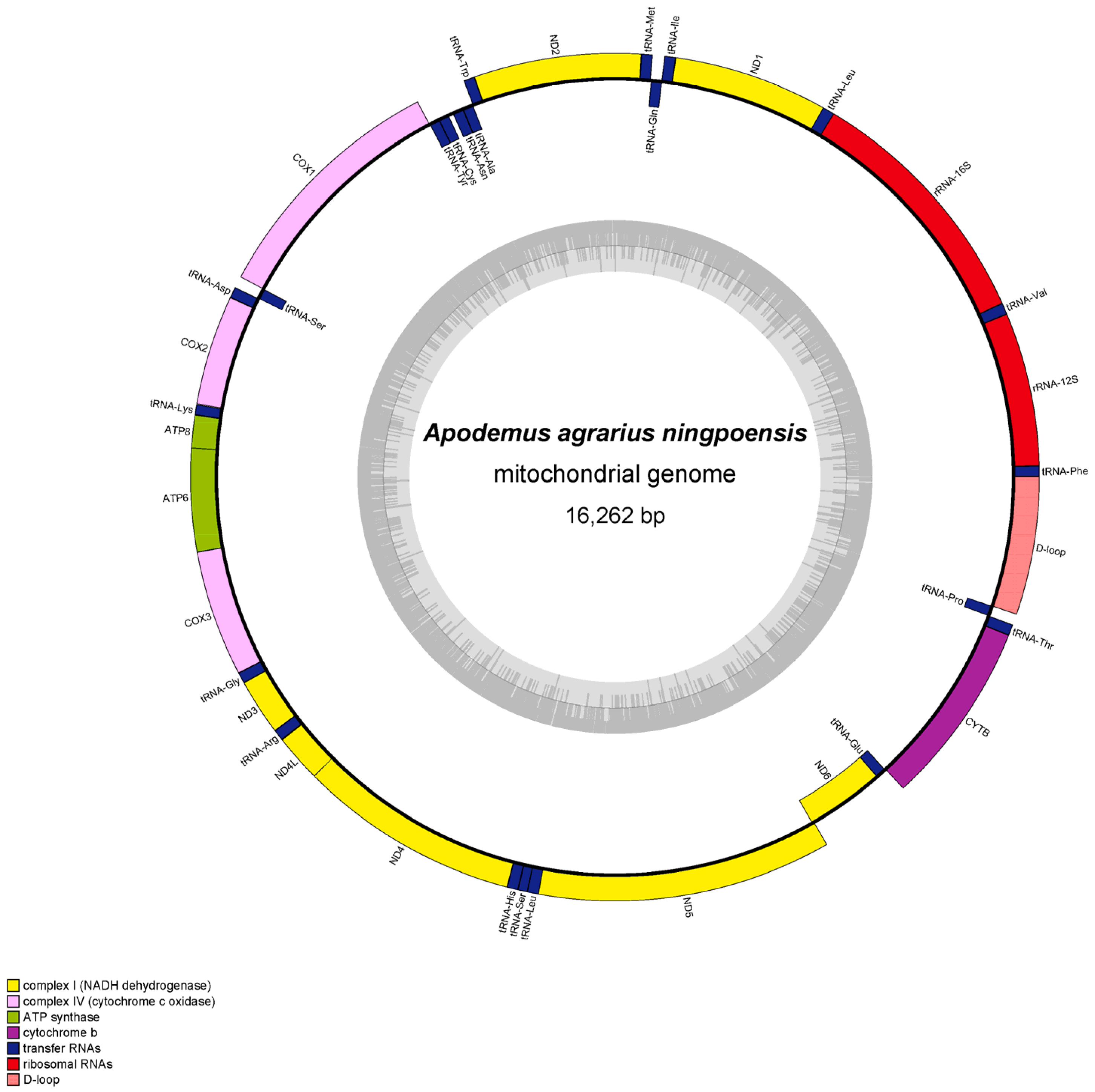 Diversity 14 01089 g001 Diversity 14 01089 g001