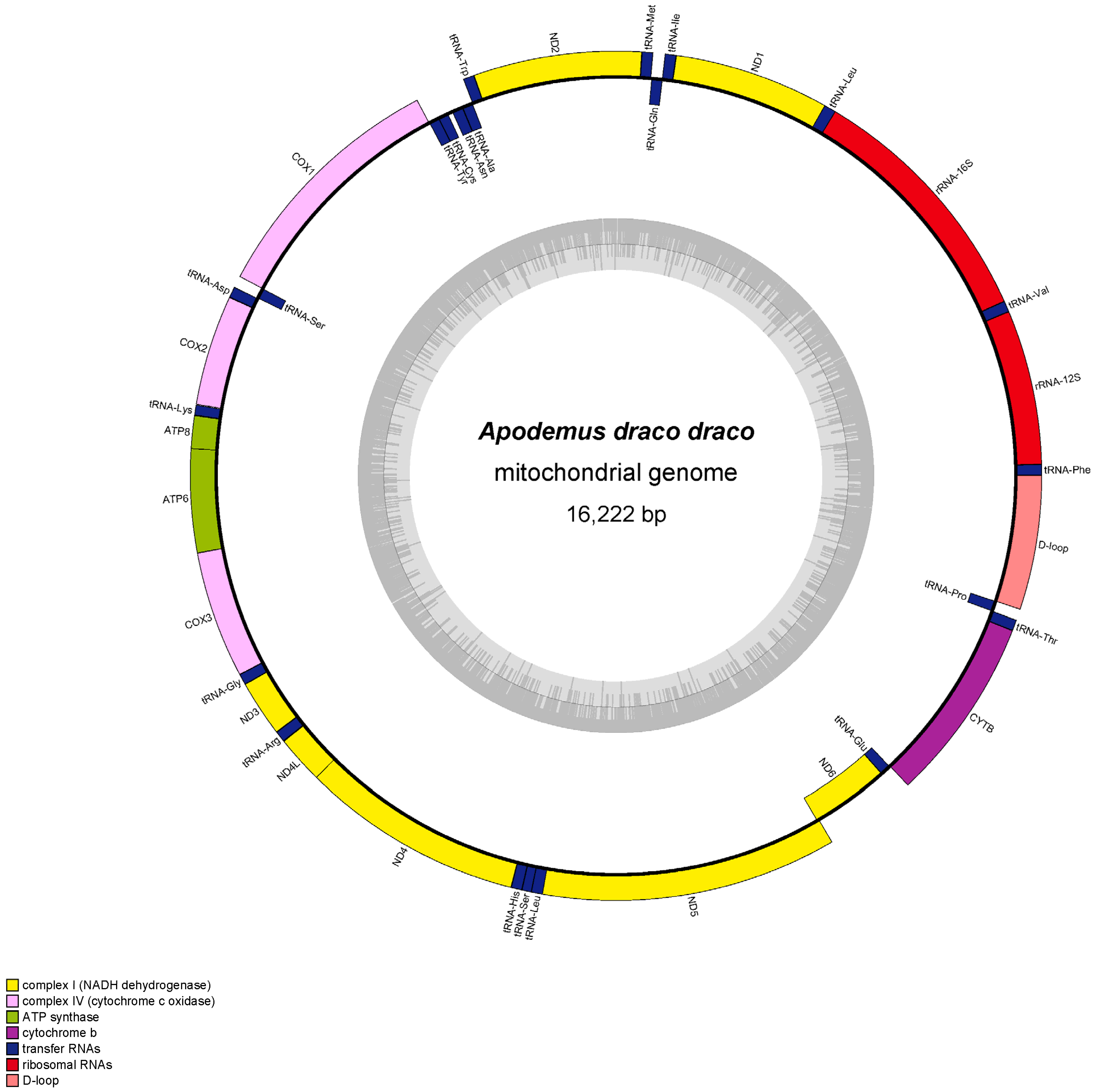 Diversity 14 01089 g002 Diversity 14 01089 g002