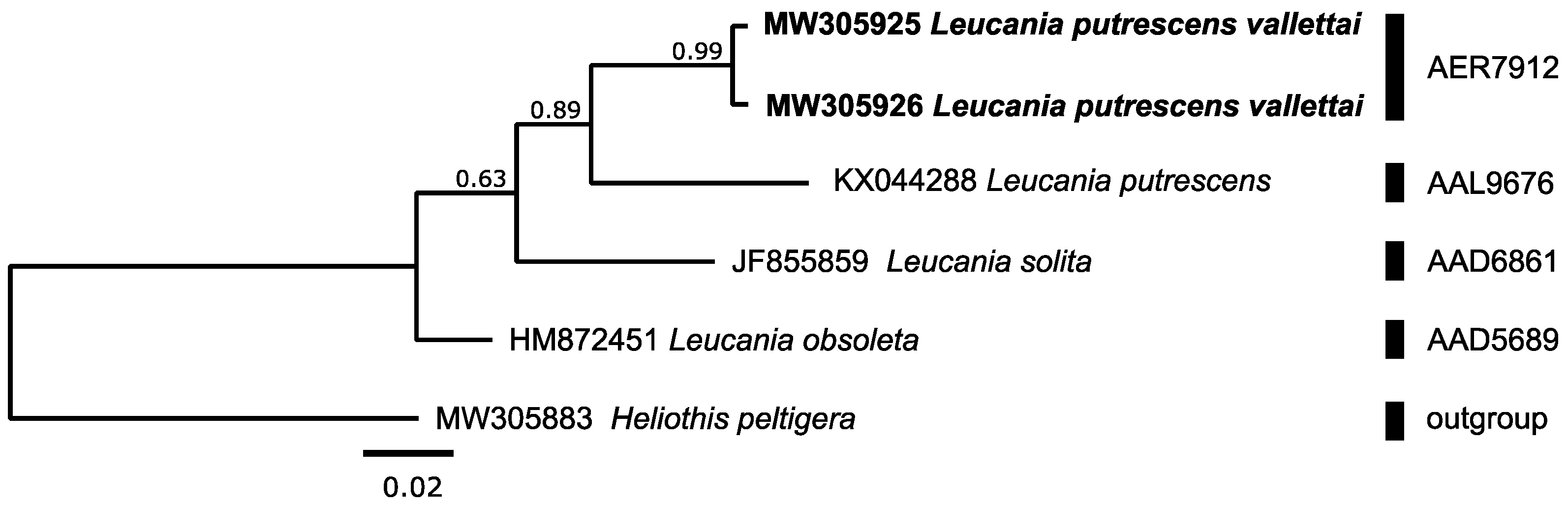 Diversity 14 01090 g002 Diversity 14 01090 g002