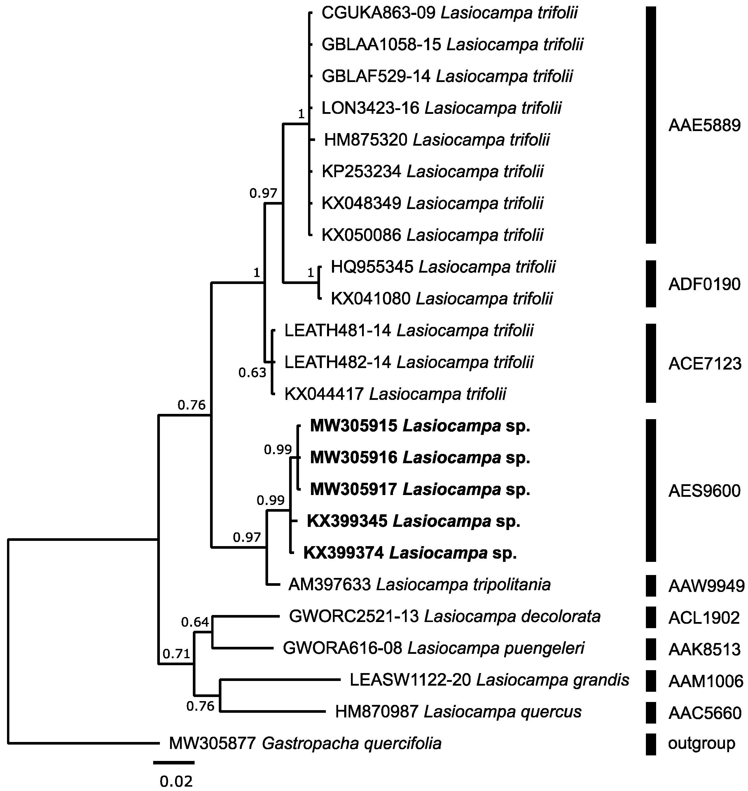 Diversity 14 01090 g004 Diversity 14 01090 g004
