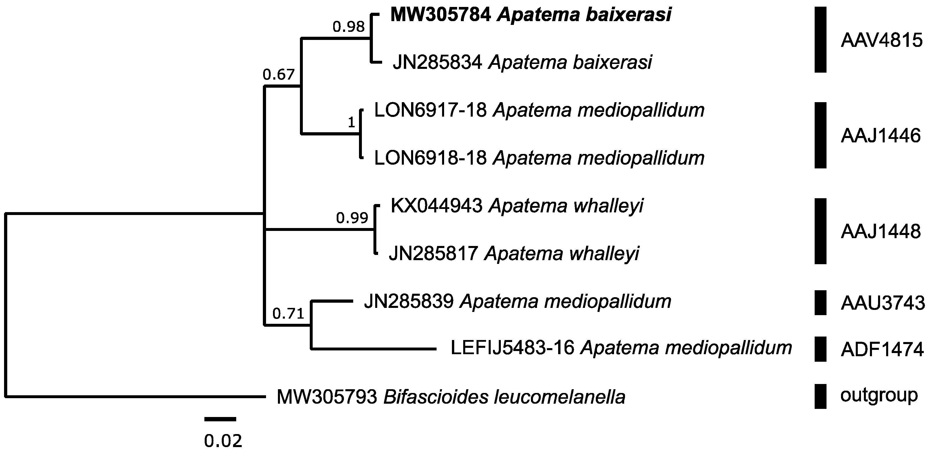 Diversity 14 01090 g005 Diversity 14 01090 g005