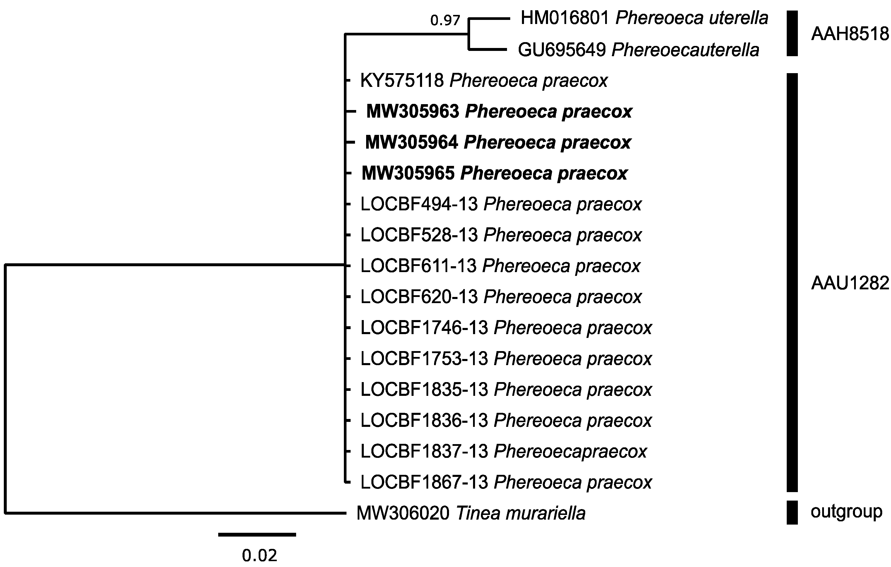 Diversity 14 01090 g008 Diversity 14 01090 g008