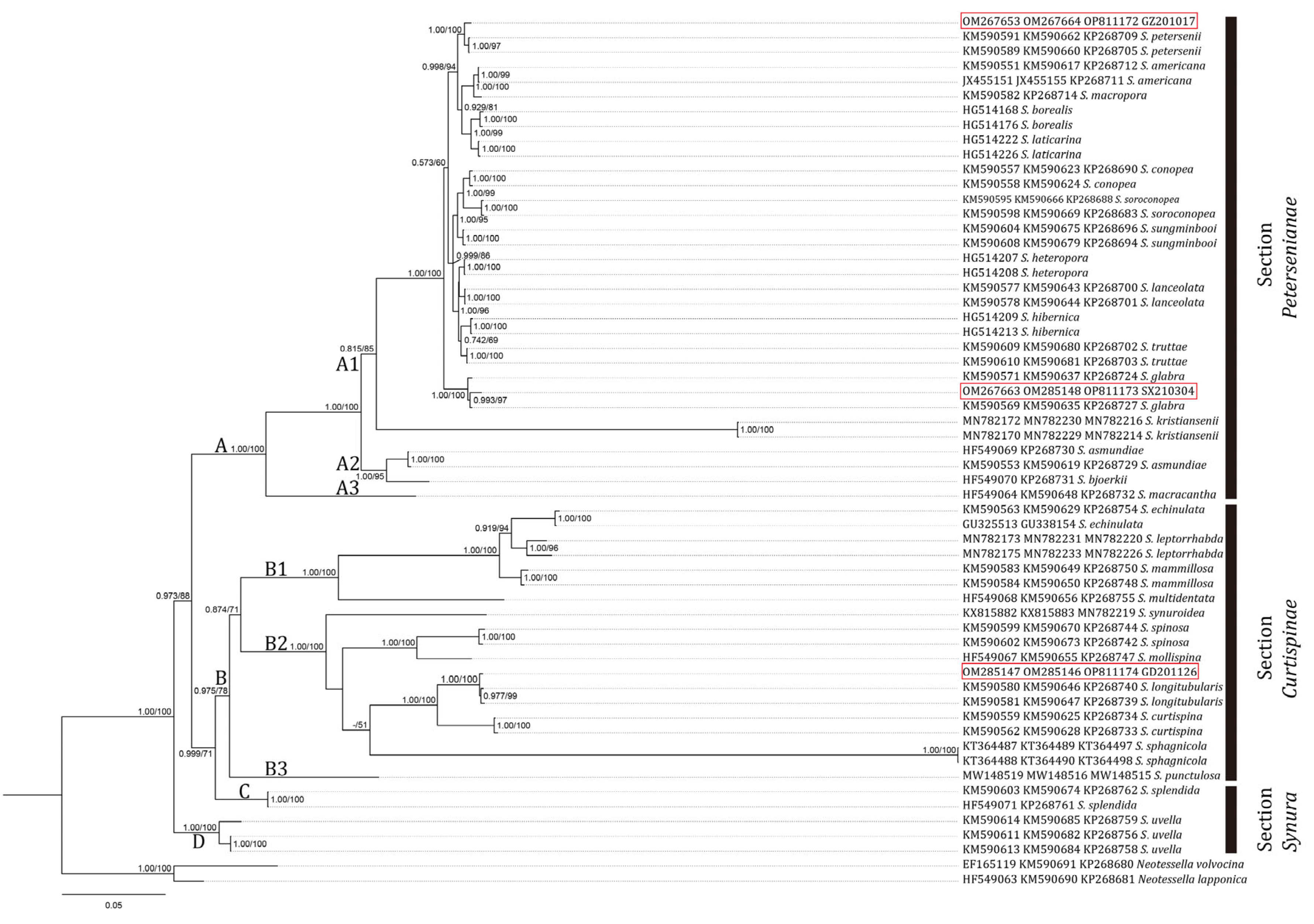 Diversity 14 01092 g002 Diversity 14 01092 g002
