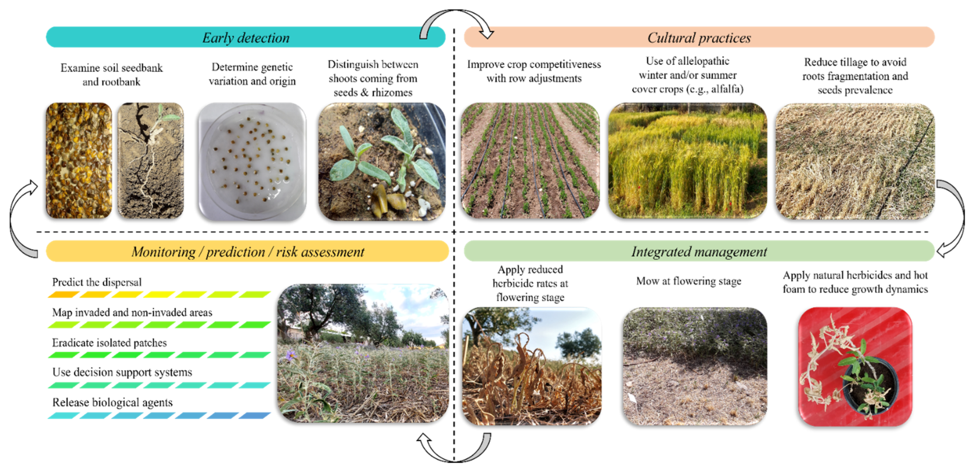 Diversity 14 01101 g003 Diversity 14 01101 g003