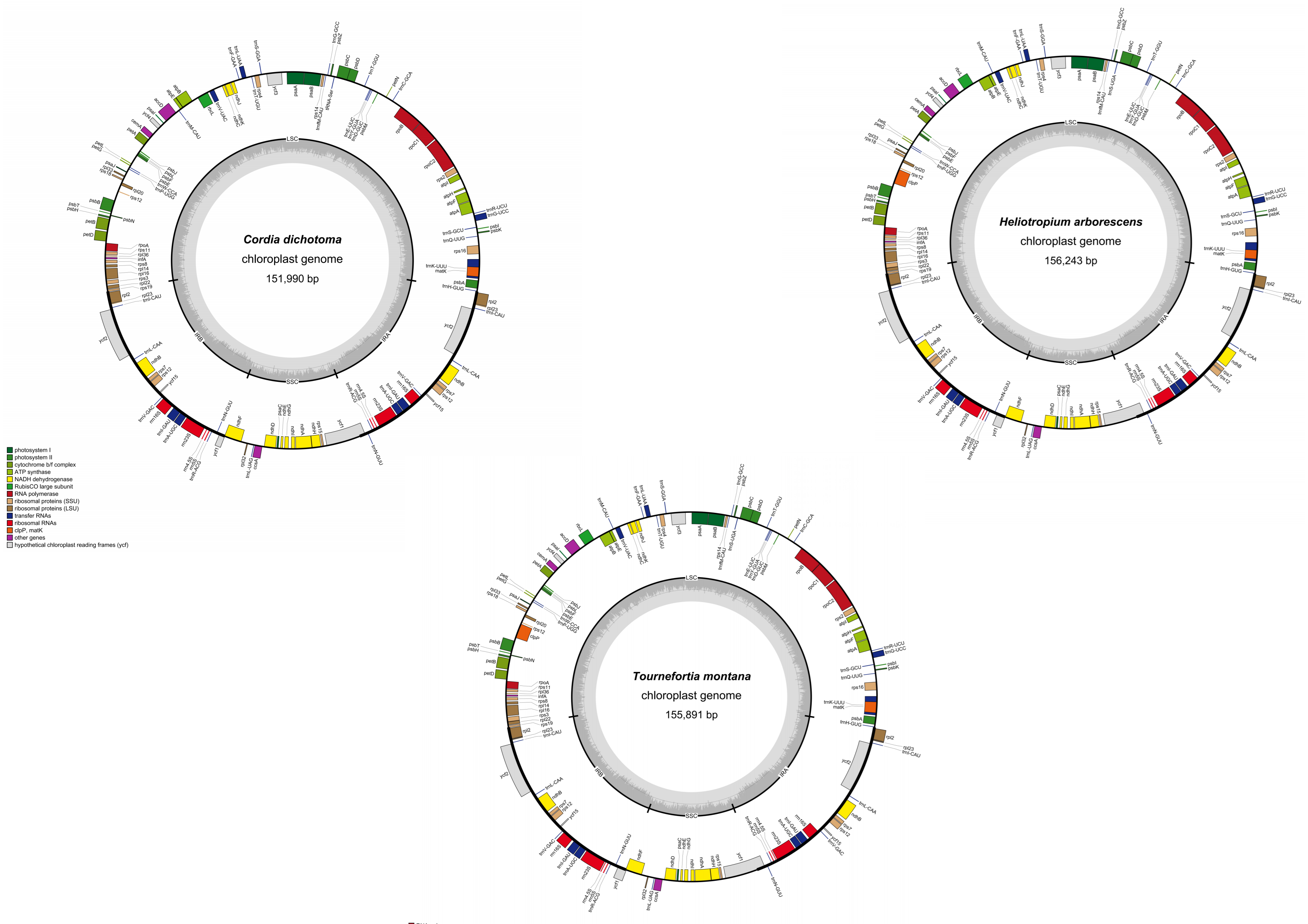 Diversity 14 01104 g001 Diversity 14 01104 g001
