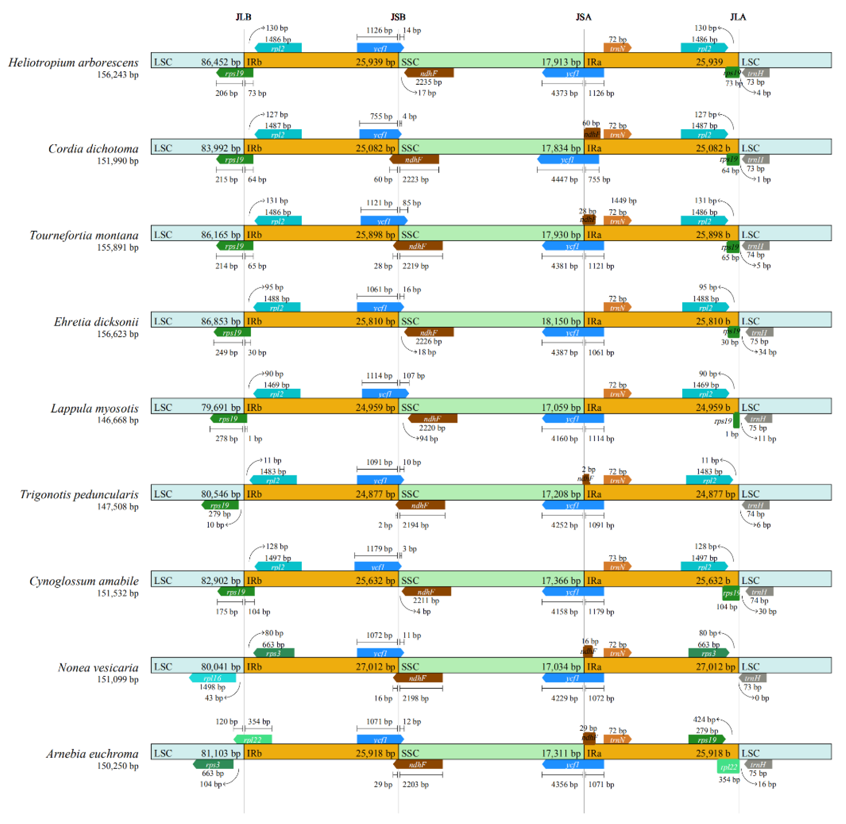 Diversity 14 01104 g006 Diversity 14 01104 g006