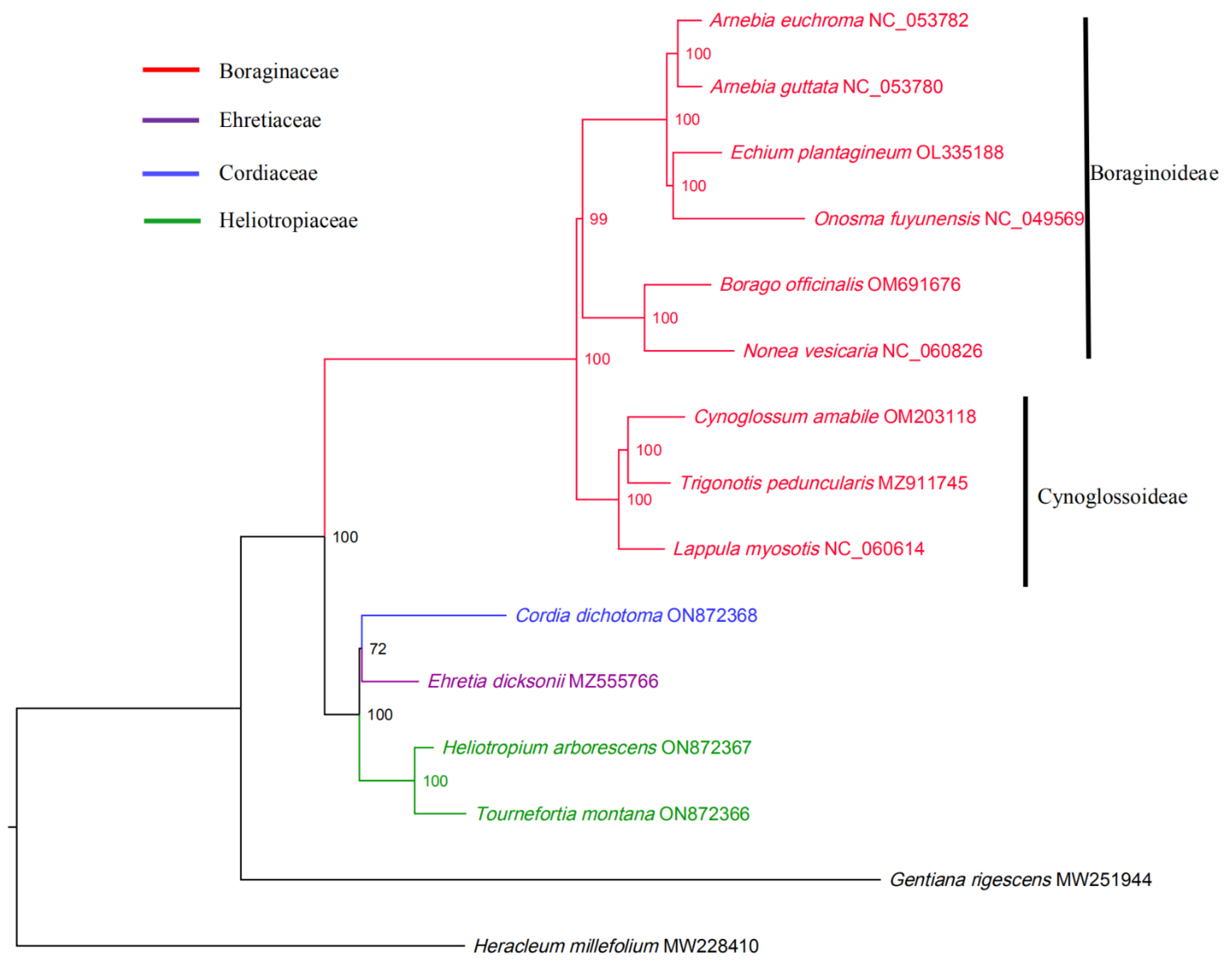 Diversity 14 01104 g008 Diversity 14 01104 g008