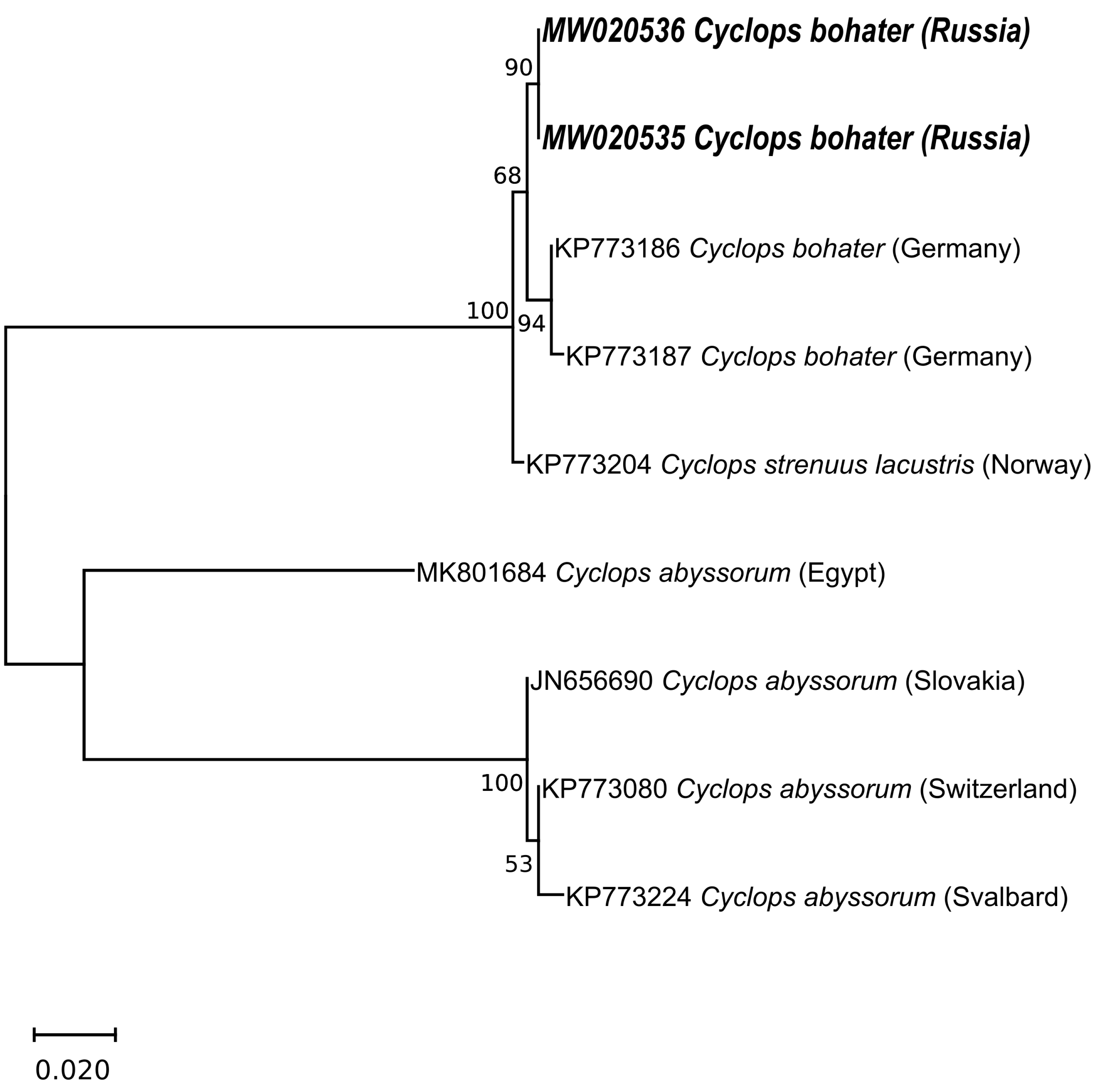 Diversity 14 01106 g004 Diversity 14 01106 g004