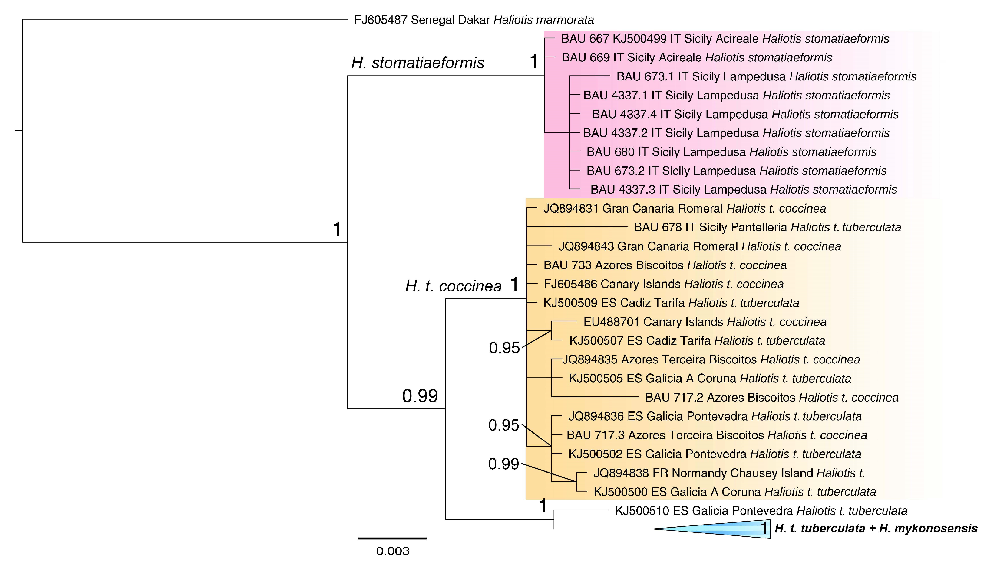 Diversity 14 01107 g004 Diversity 14 01107 g004