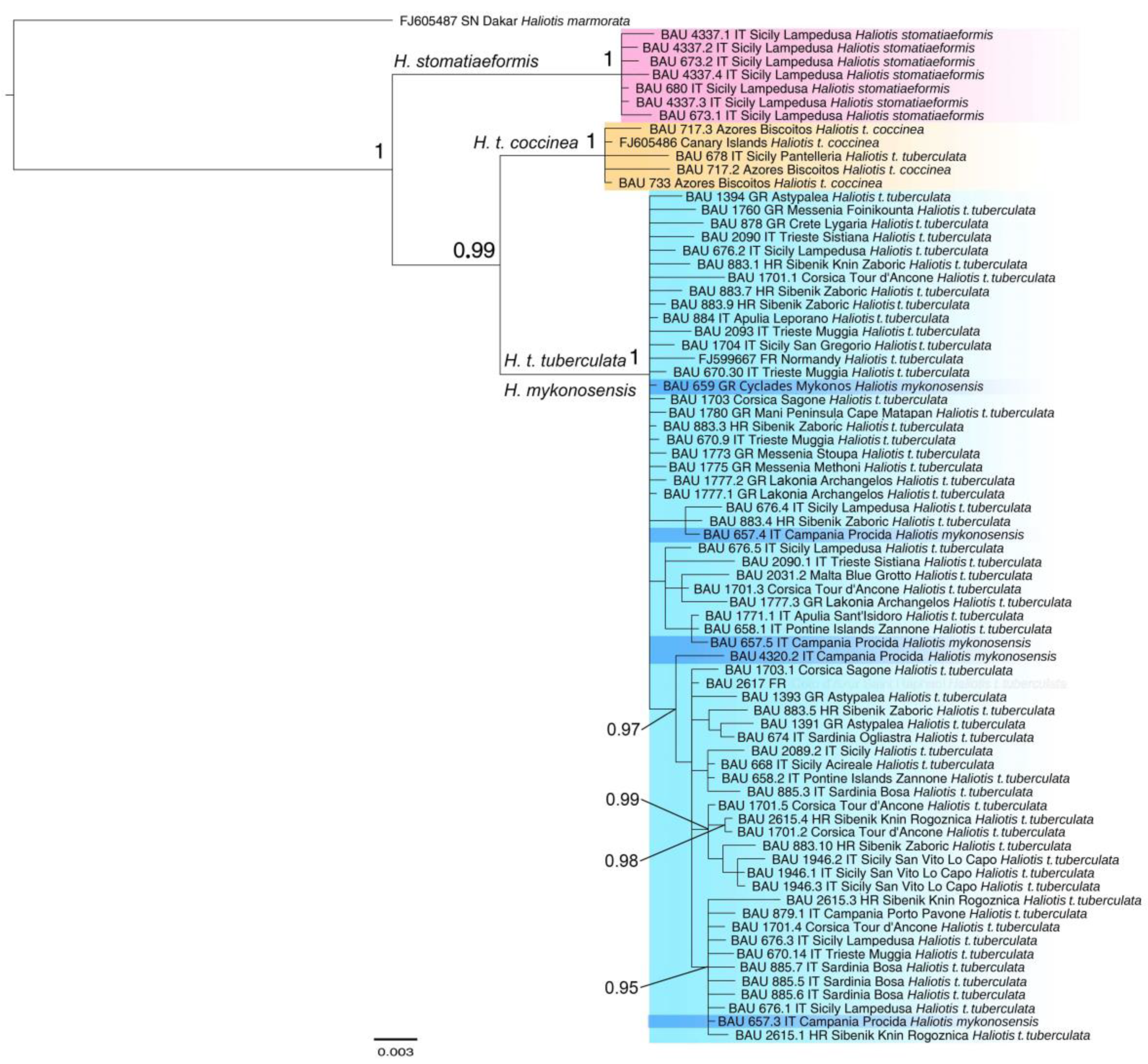 Diversity 14 01107 g005 Diversity 14 01107 g005
