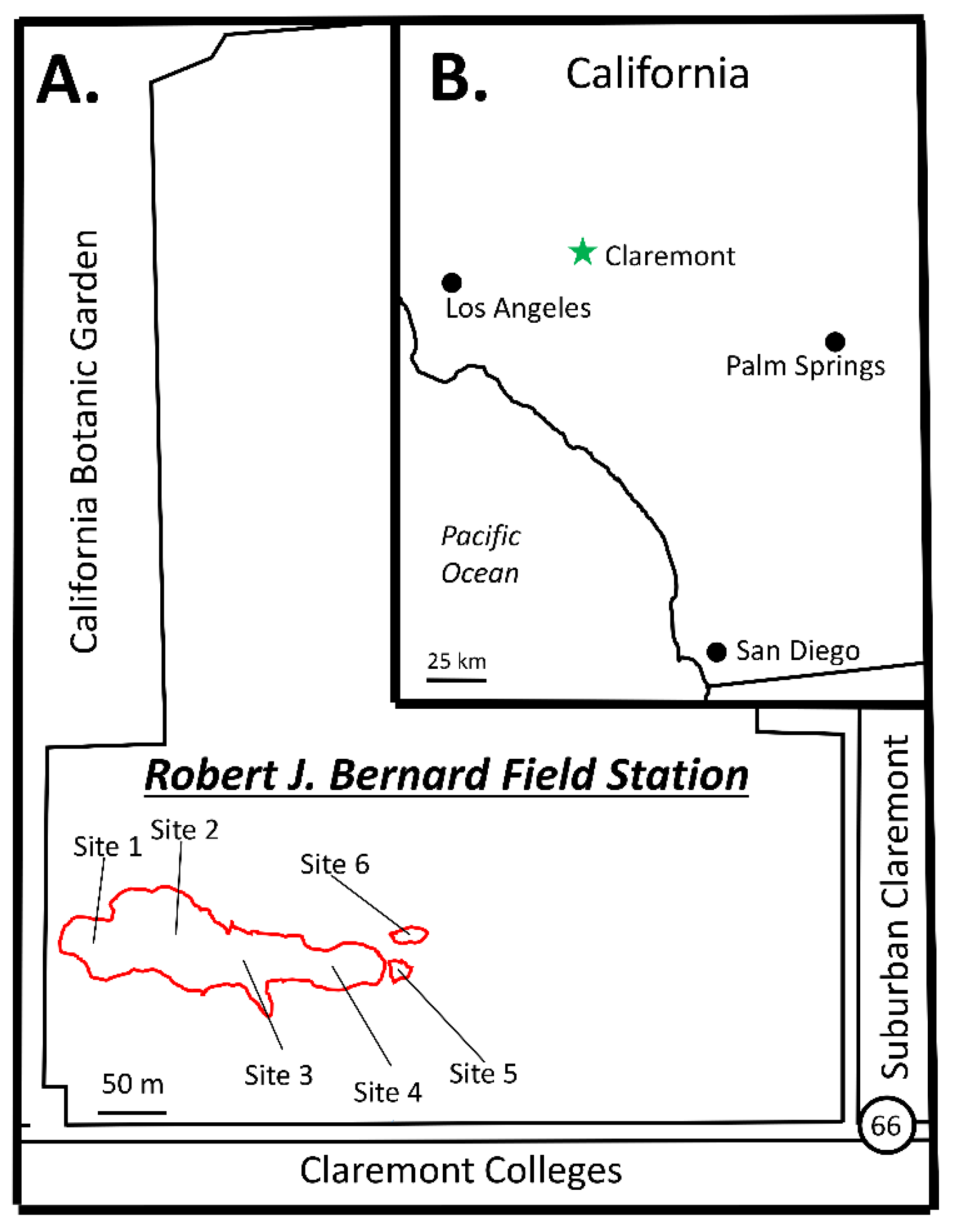 Diversity 14 01110 g001 Diversity 14 01110 g001