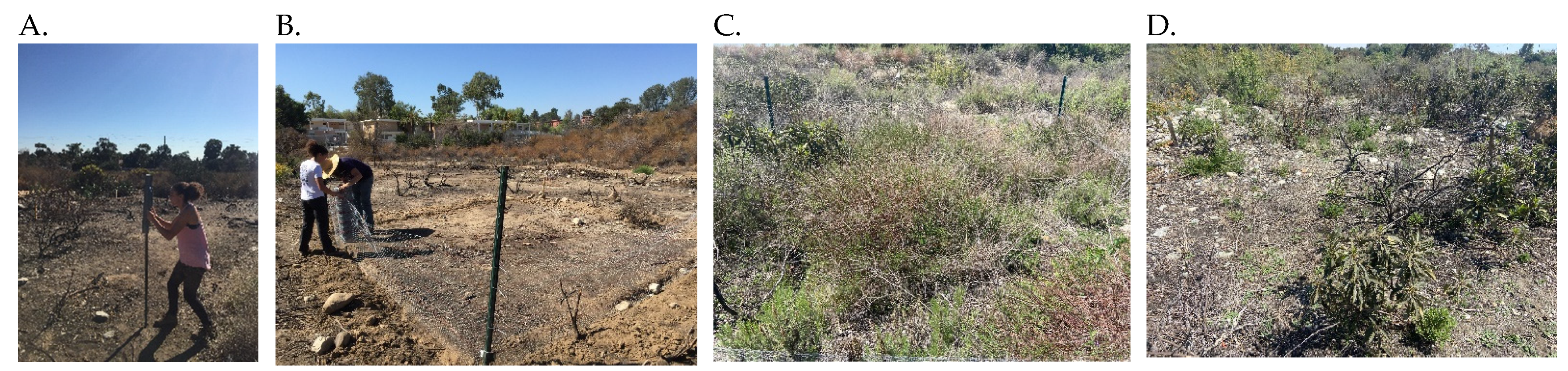 Diversity 14 01110 g002 Diversity 14 01110 g002