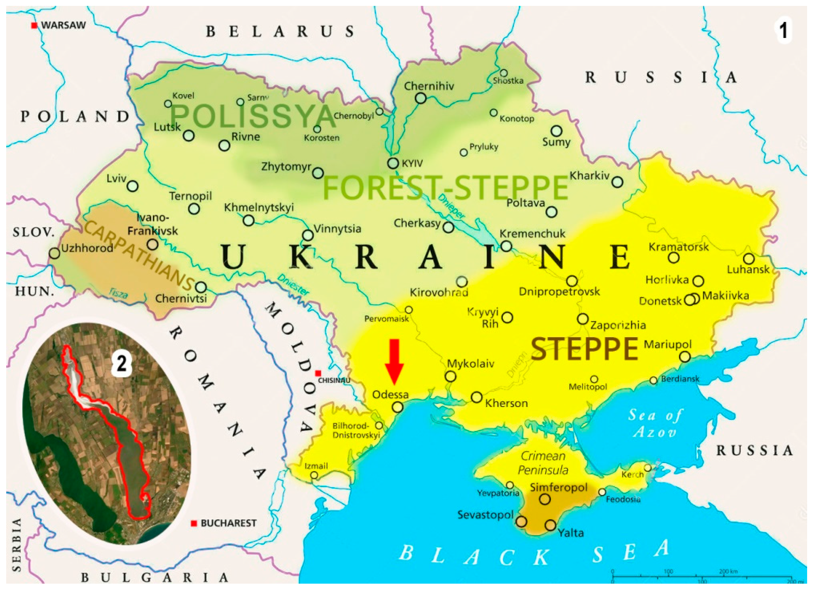 Diversity 14 01115 g001