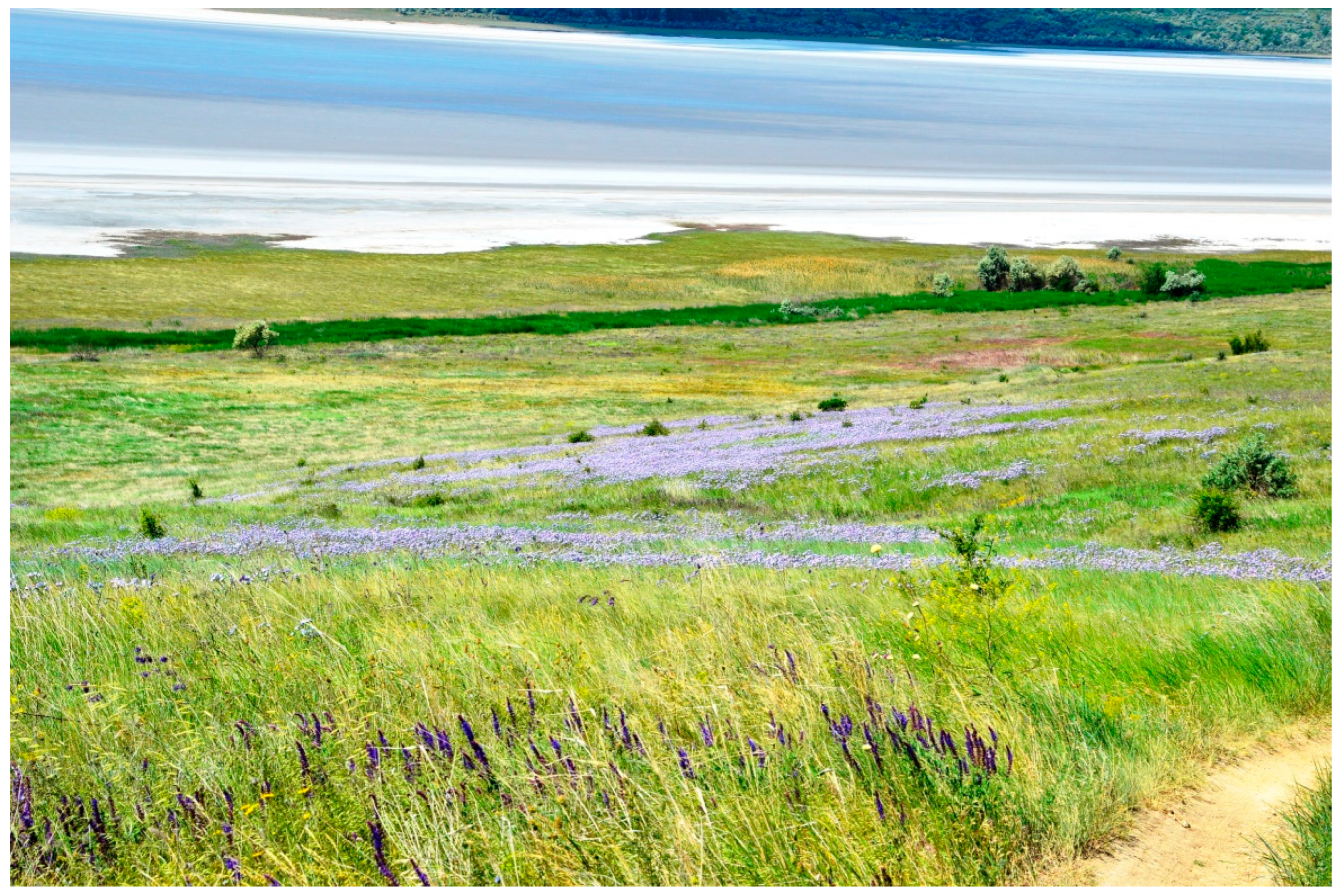 Diversity 14 01115 g005